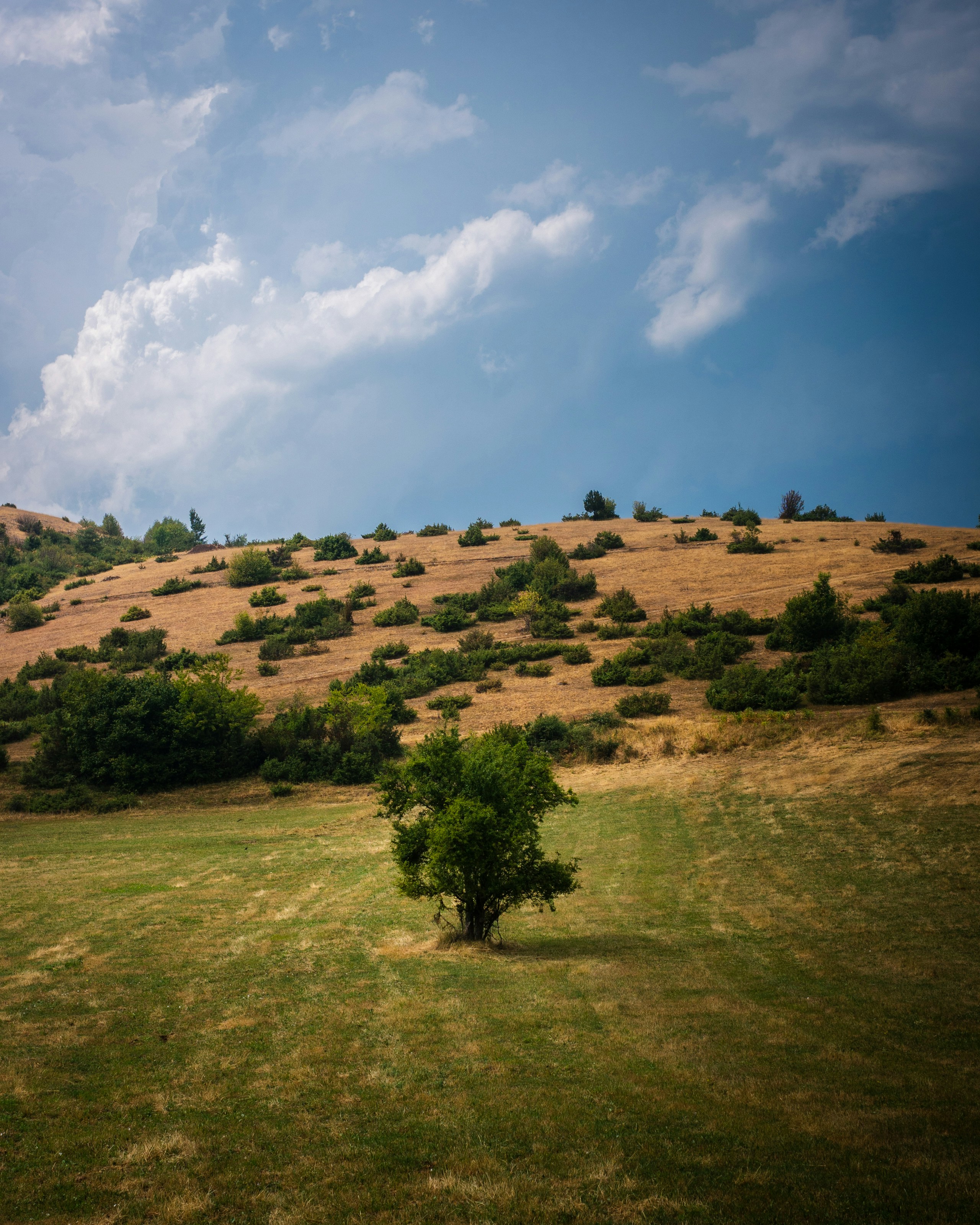 Photo by parimjpg