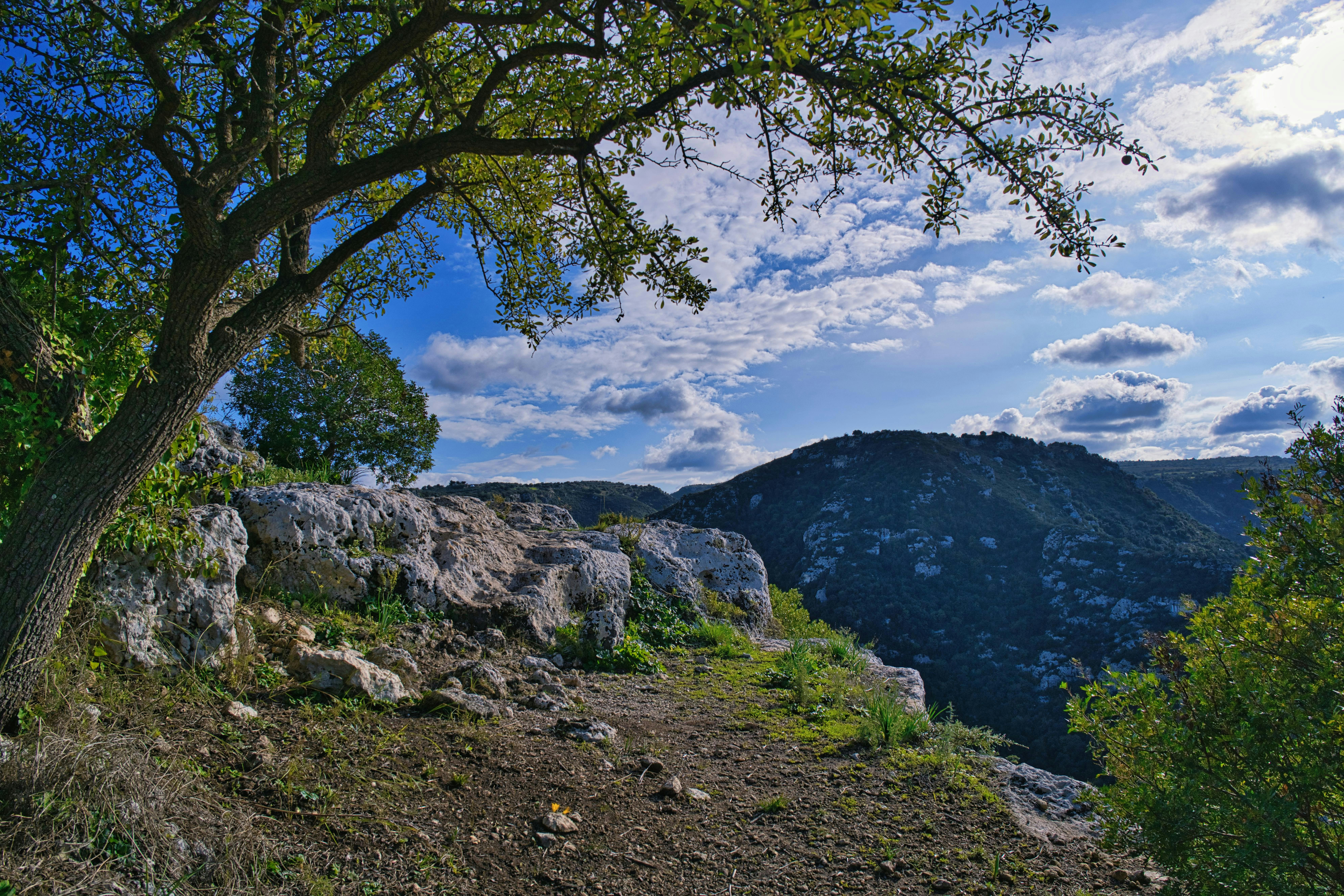 Photo by shottrotter