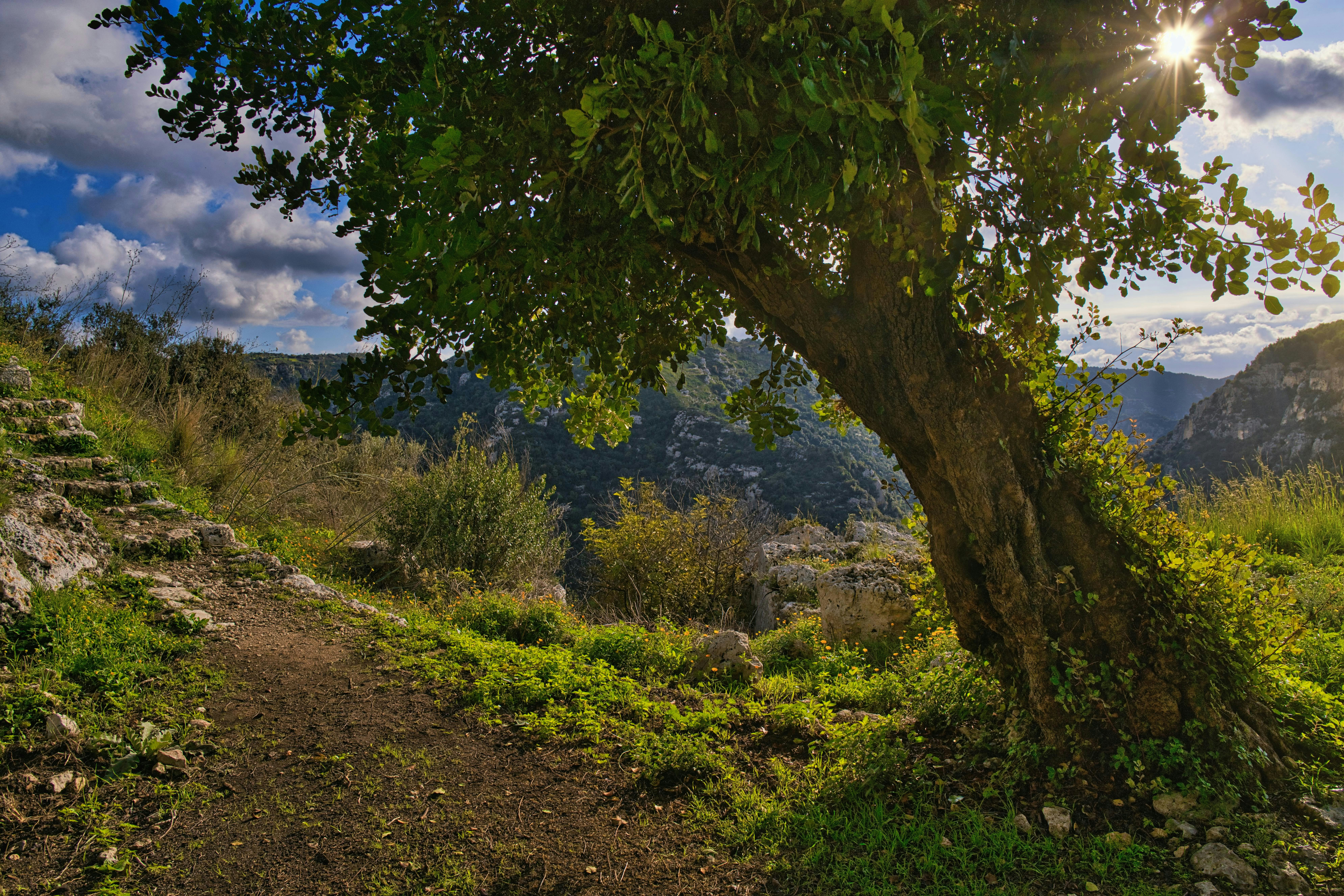 Photo by shottrotter