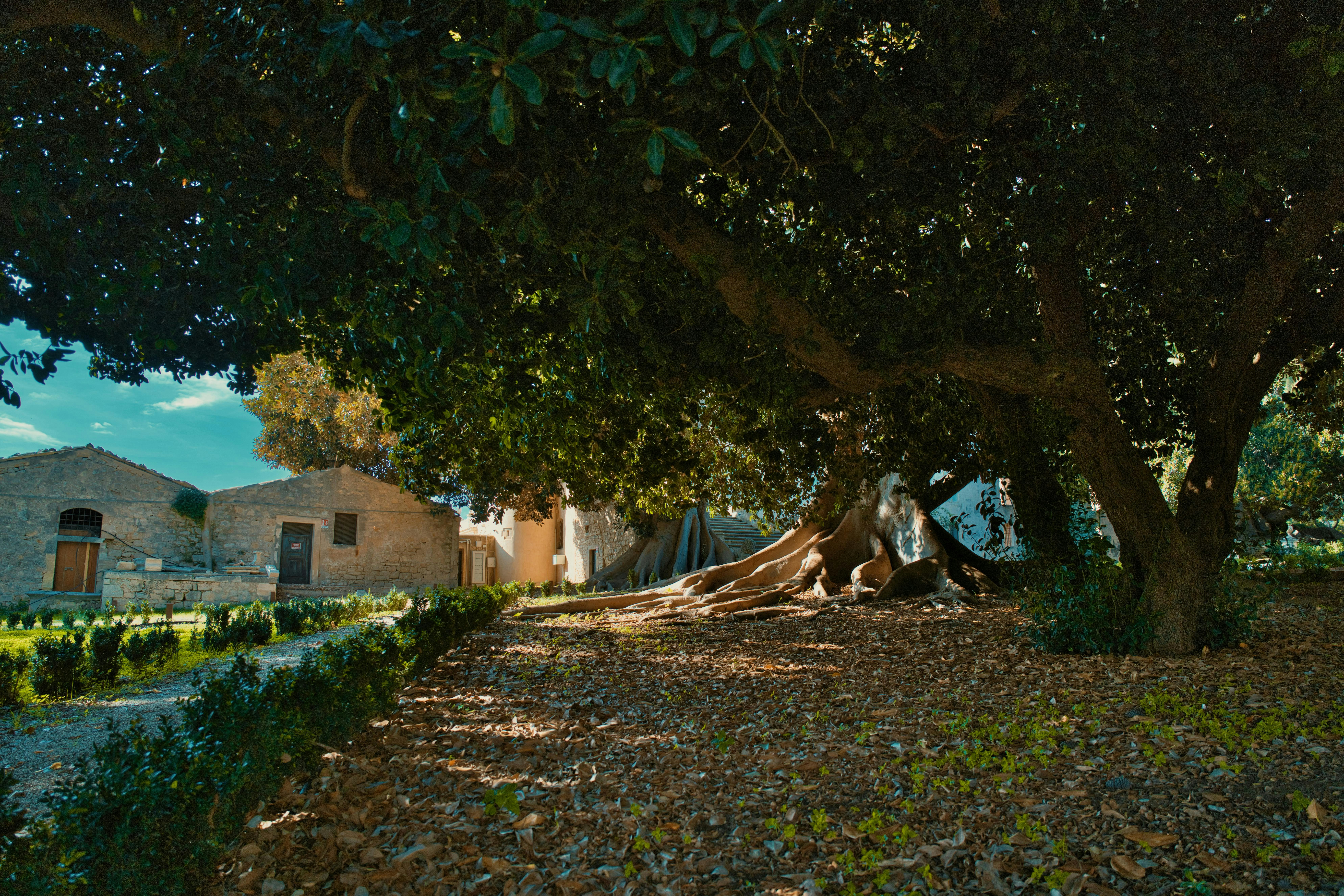 Photo by shottrotter