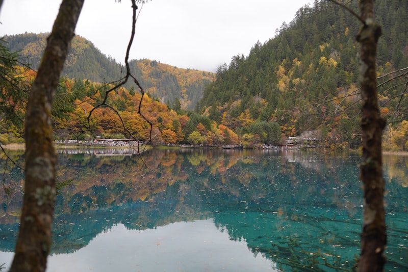 jiuzhaigou valley entrance new visitor center 2026 with tourists queueing orderly