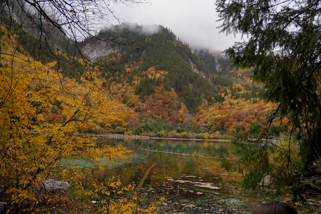 Autumn colors reflecting in a colorful lake