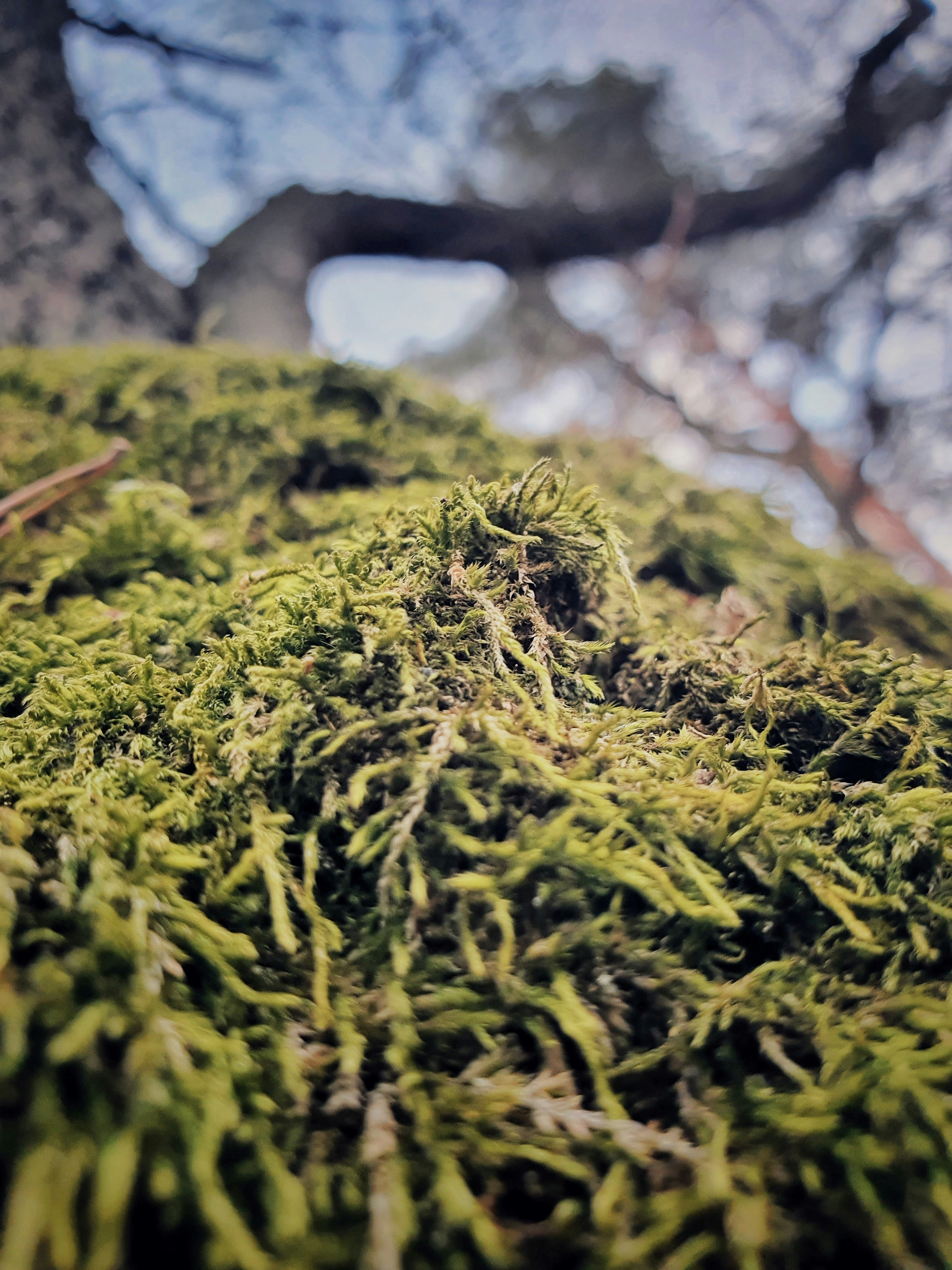 Photo by hordy21