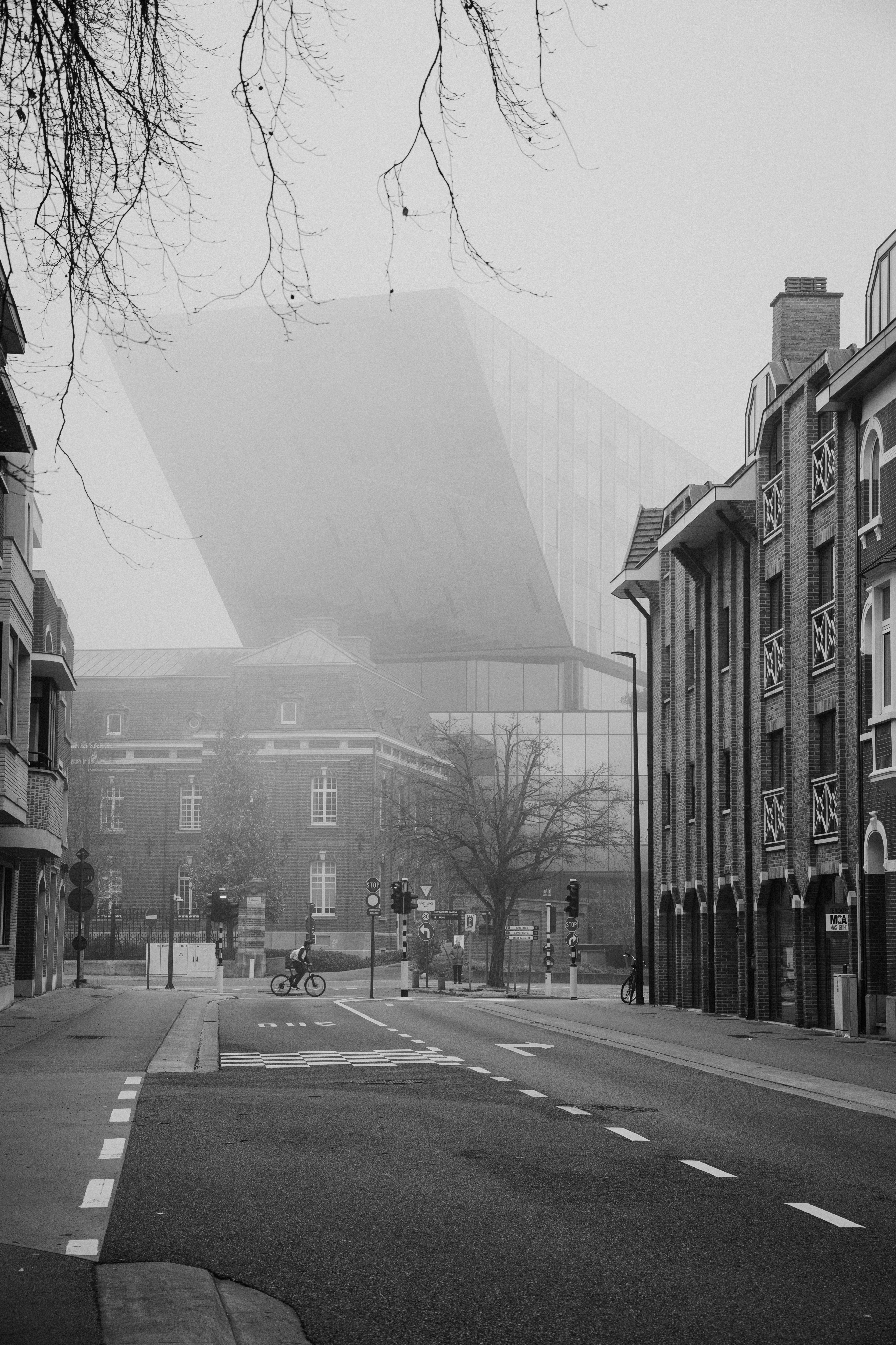 自転車乗りが霧のついた通りを現代の建物に向かって走ります。