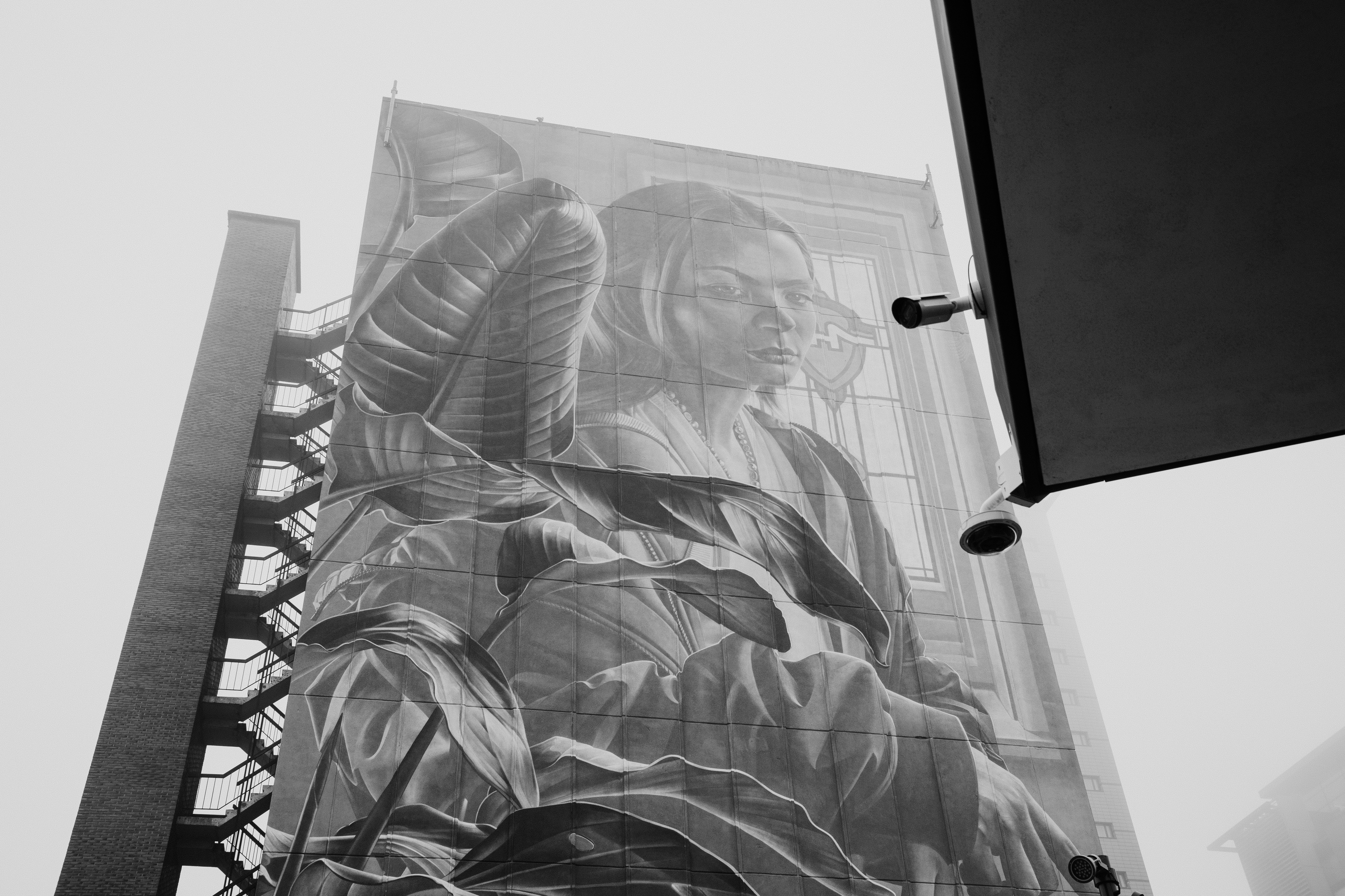 建物に植物を置く女性の壁画