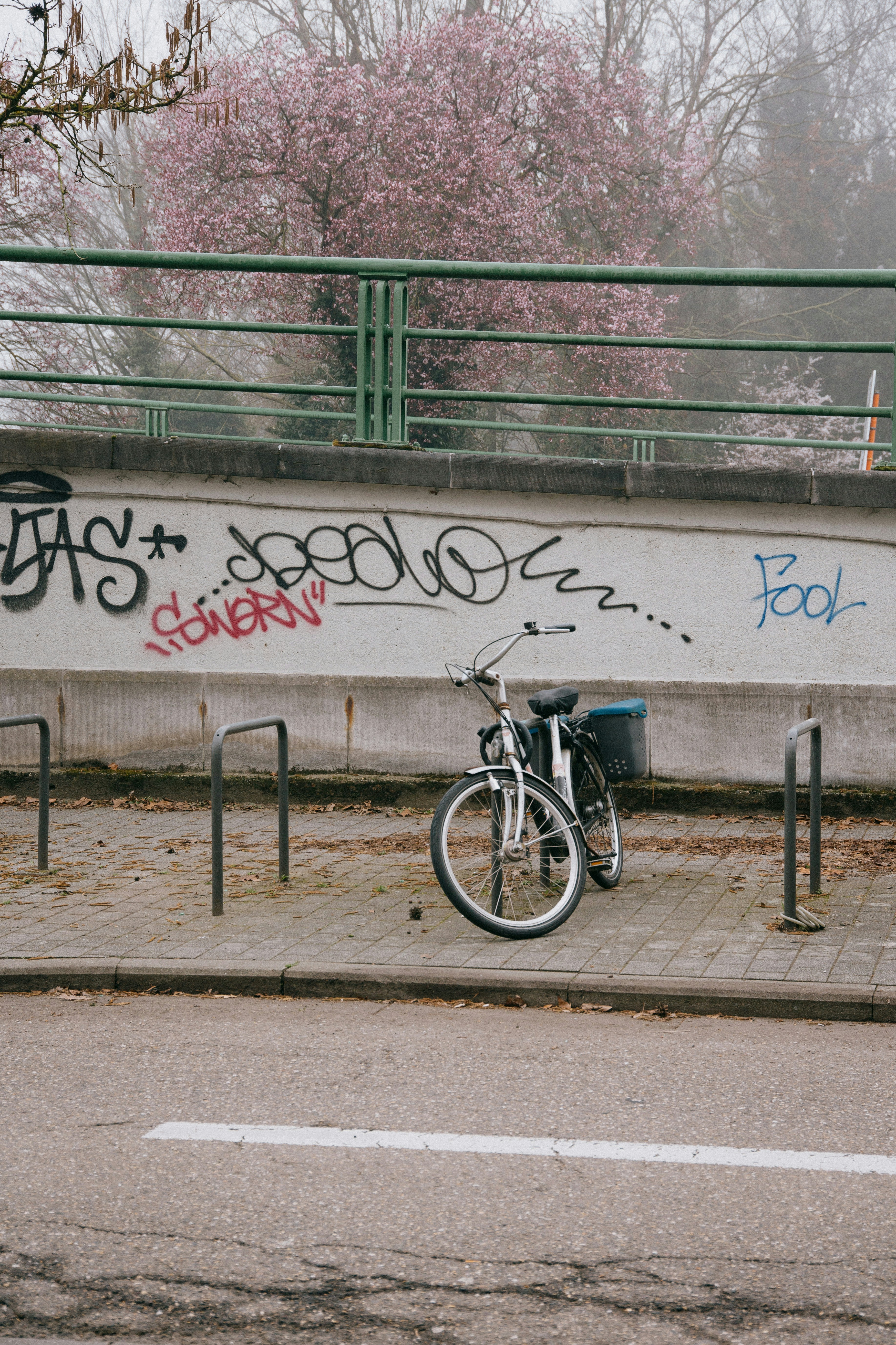 自転車はピンクの木の下の落書き壁の近くに駐車しています。