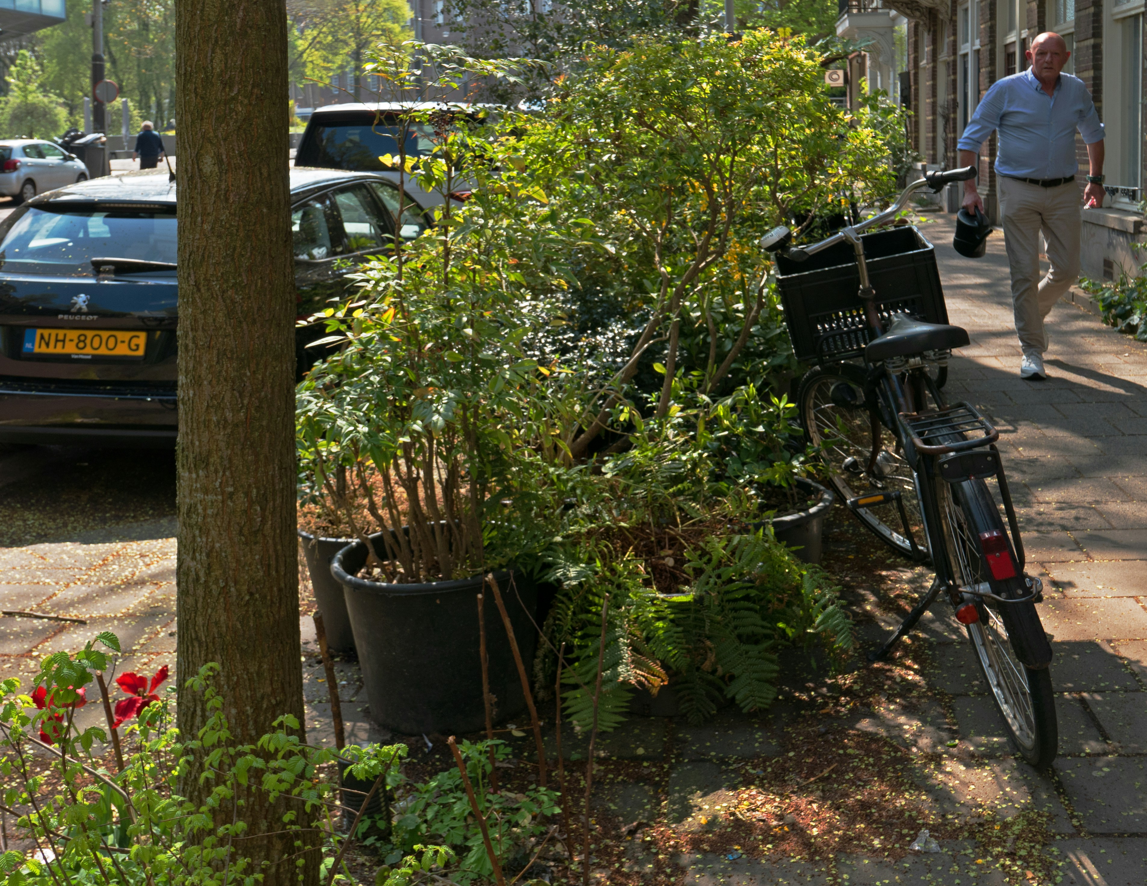 Homem passa por plantas em vasos e bicicleta na calçada.