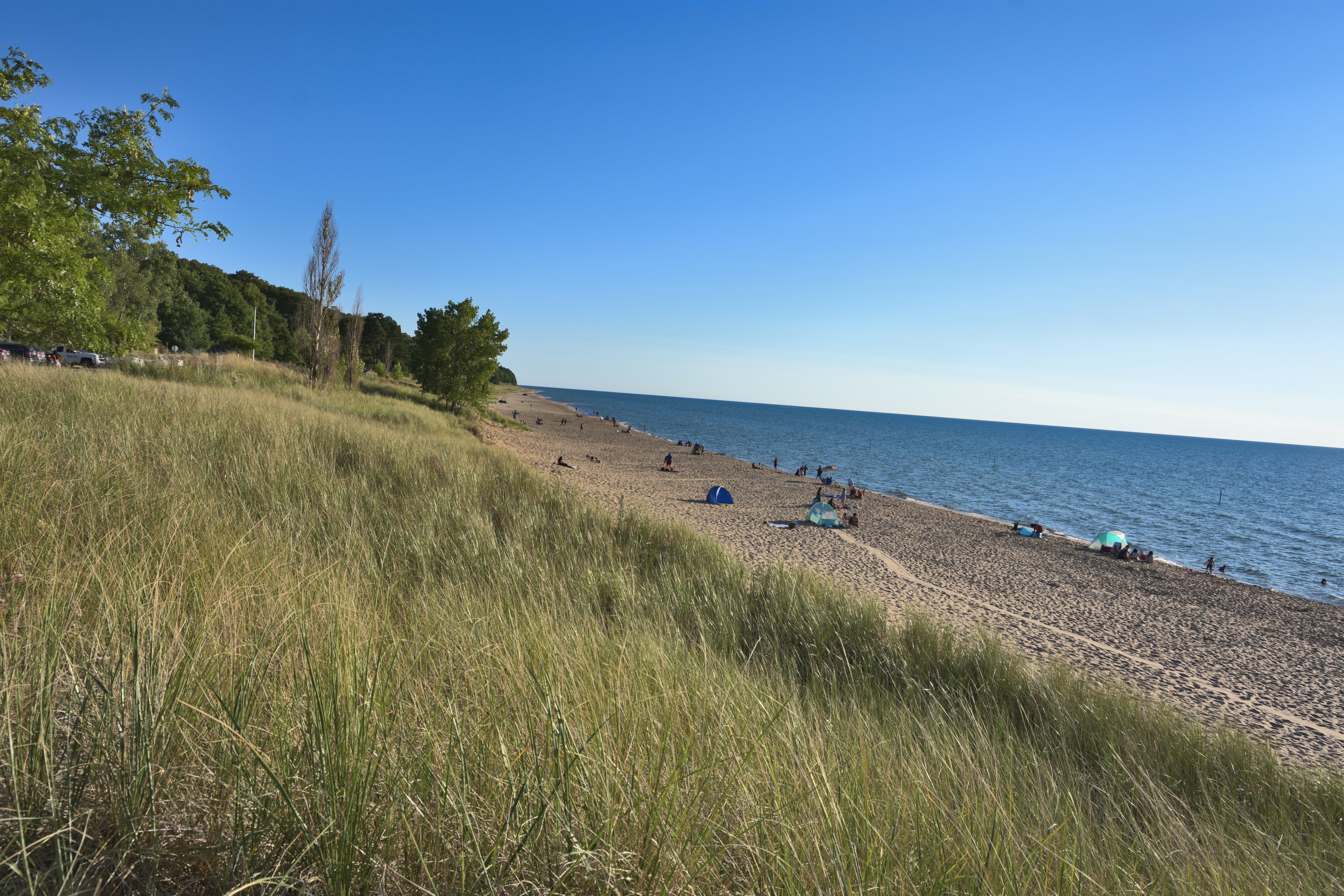 People relax on a sunny beach with grassy dunes.