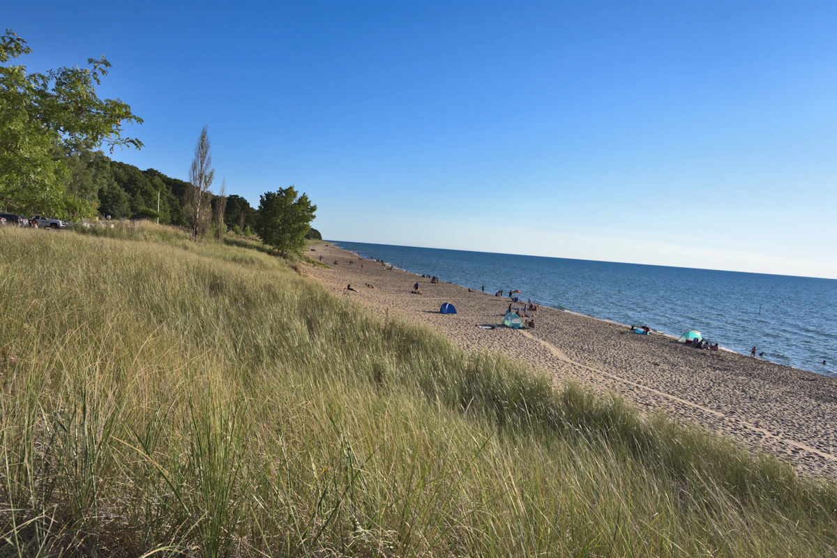 Saugatuck's beach. The dune grass is load-bearing.