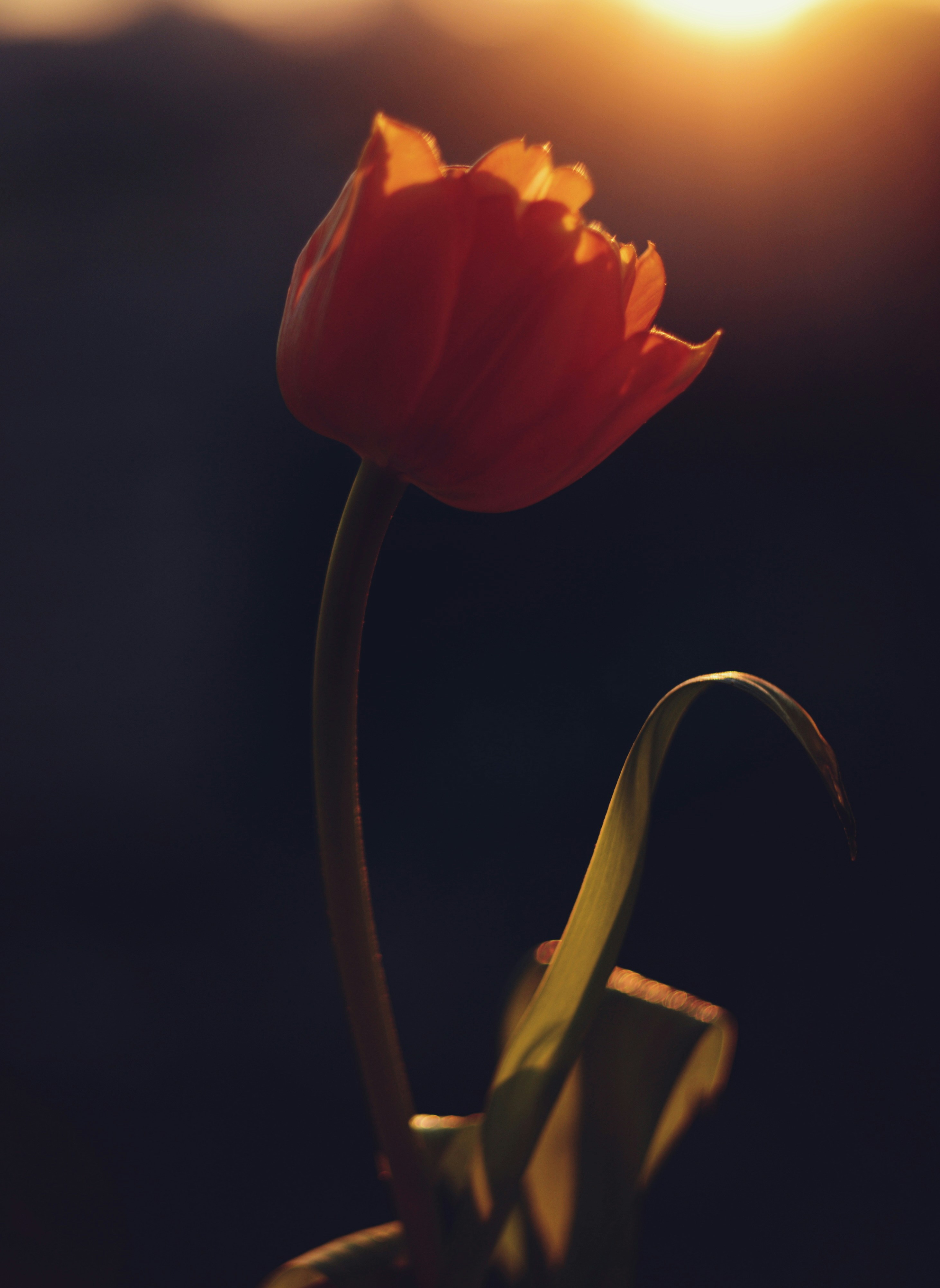 Photo by cherstve_pechivo