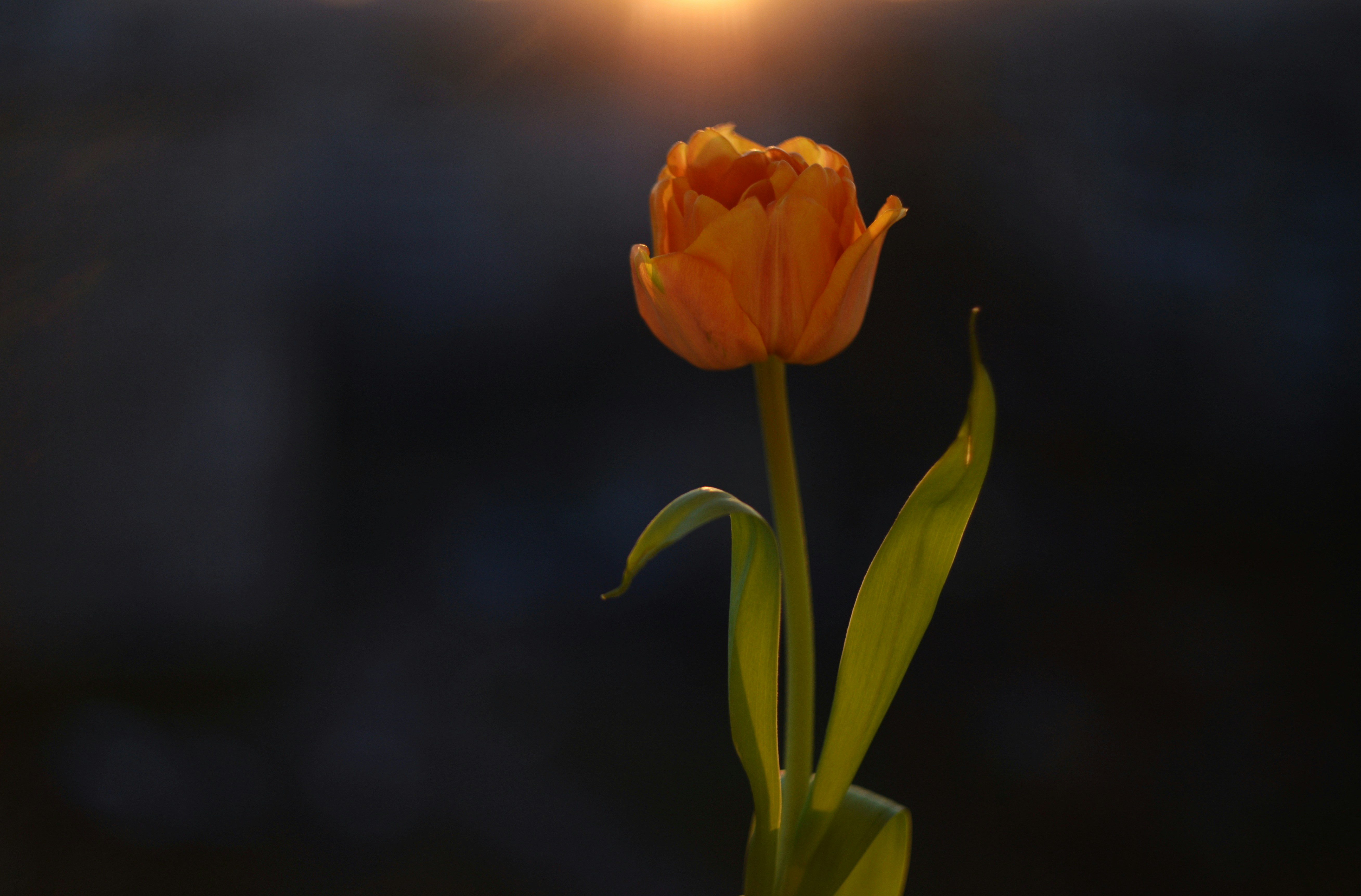 Photo by cherstve_pechivo