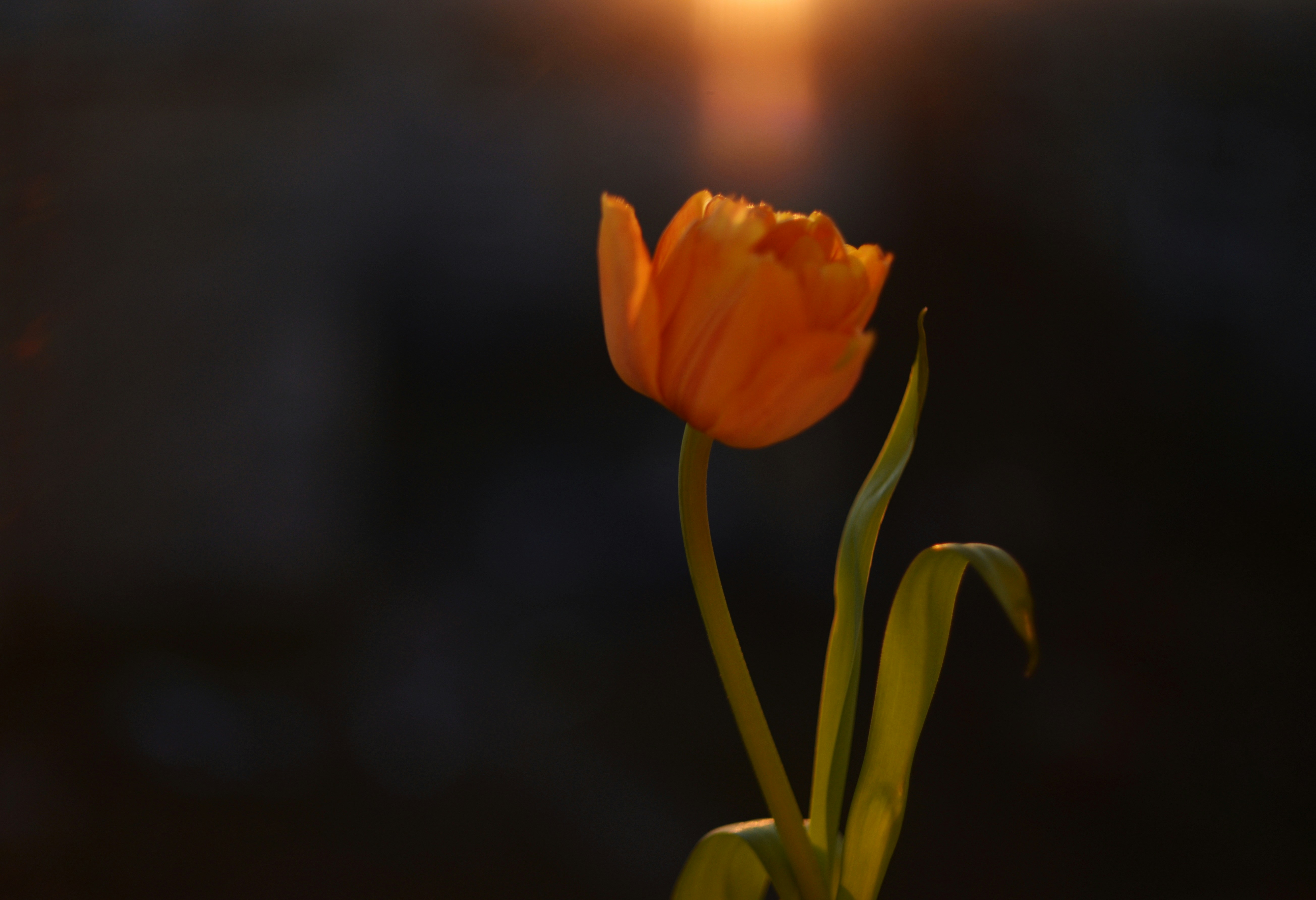 Photo by cherstve_pechivo