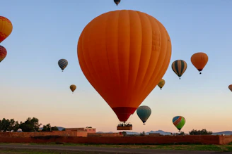 Several hot air balloons ascend into the clear sky