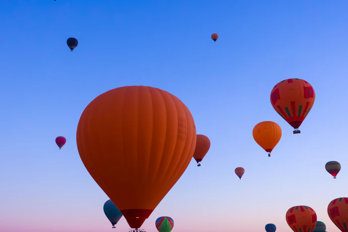 Hot air balloons ascending in the morning sky
