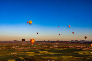 Hot air balloons float over a green landscape at sunrise