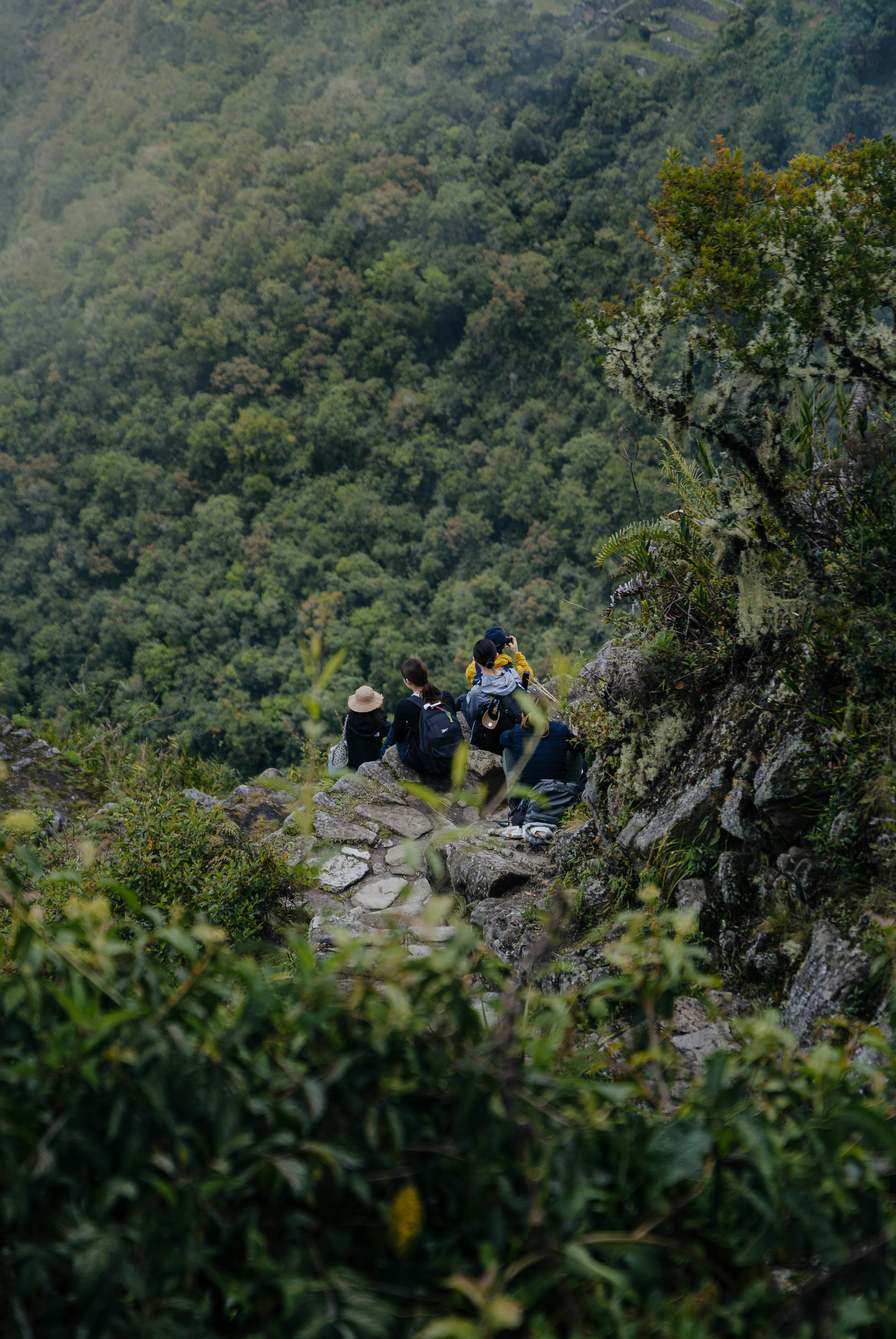 Pejalan kaki beristirahat di langkan gunung berbatu yang menghadap ke hutan.