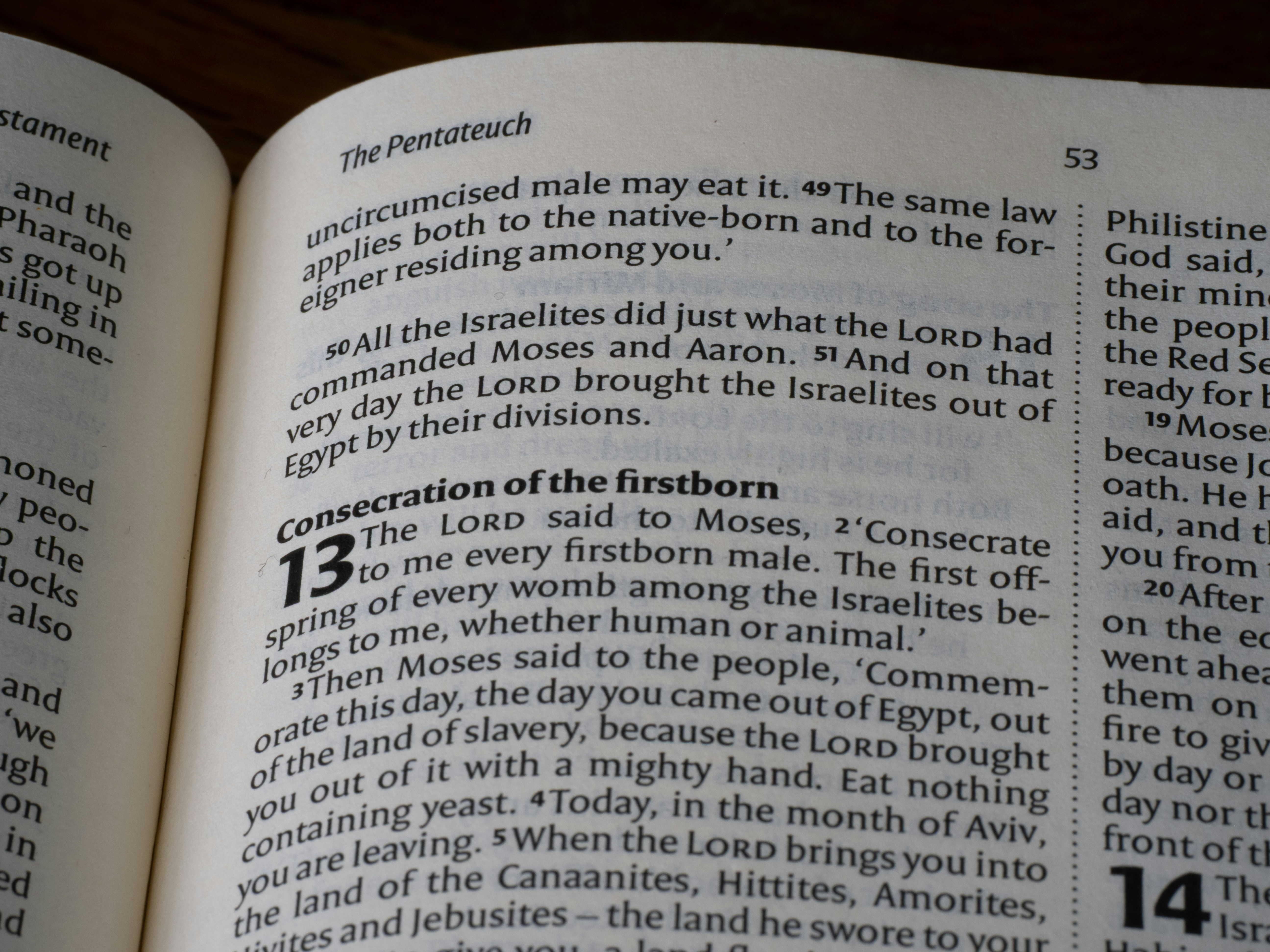 Open bible showing text from the pentateuch