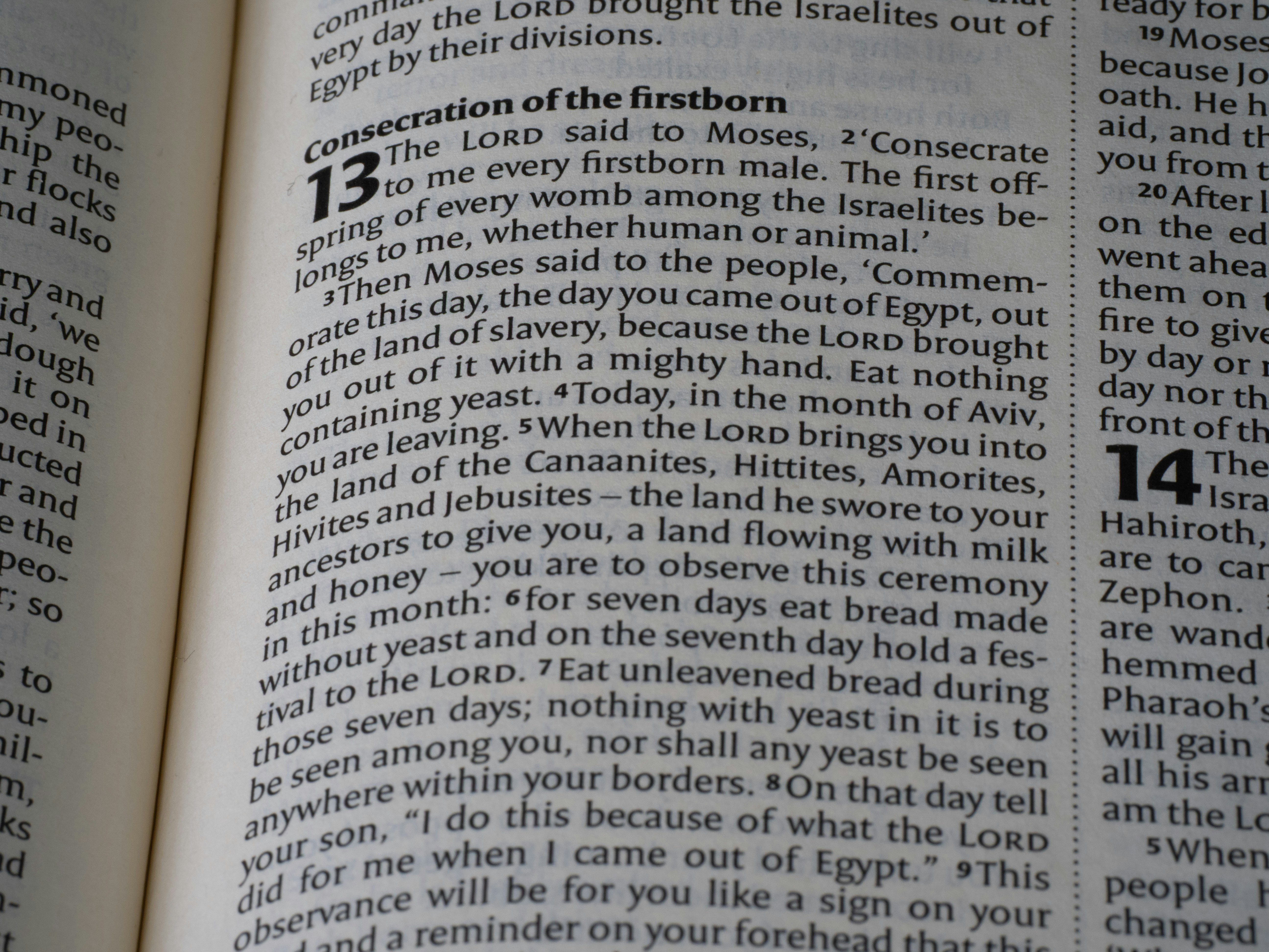 Close-up of an open bible with text visible