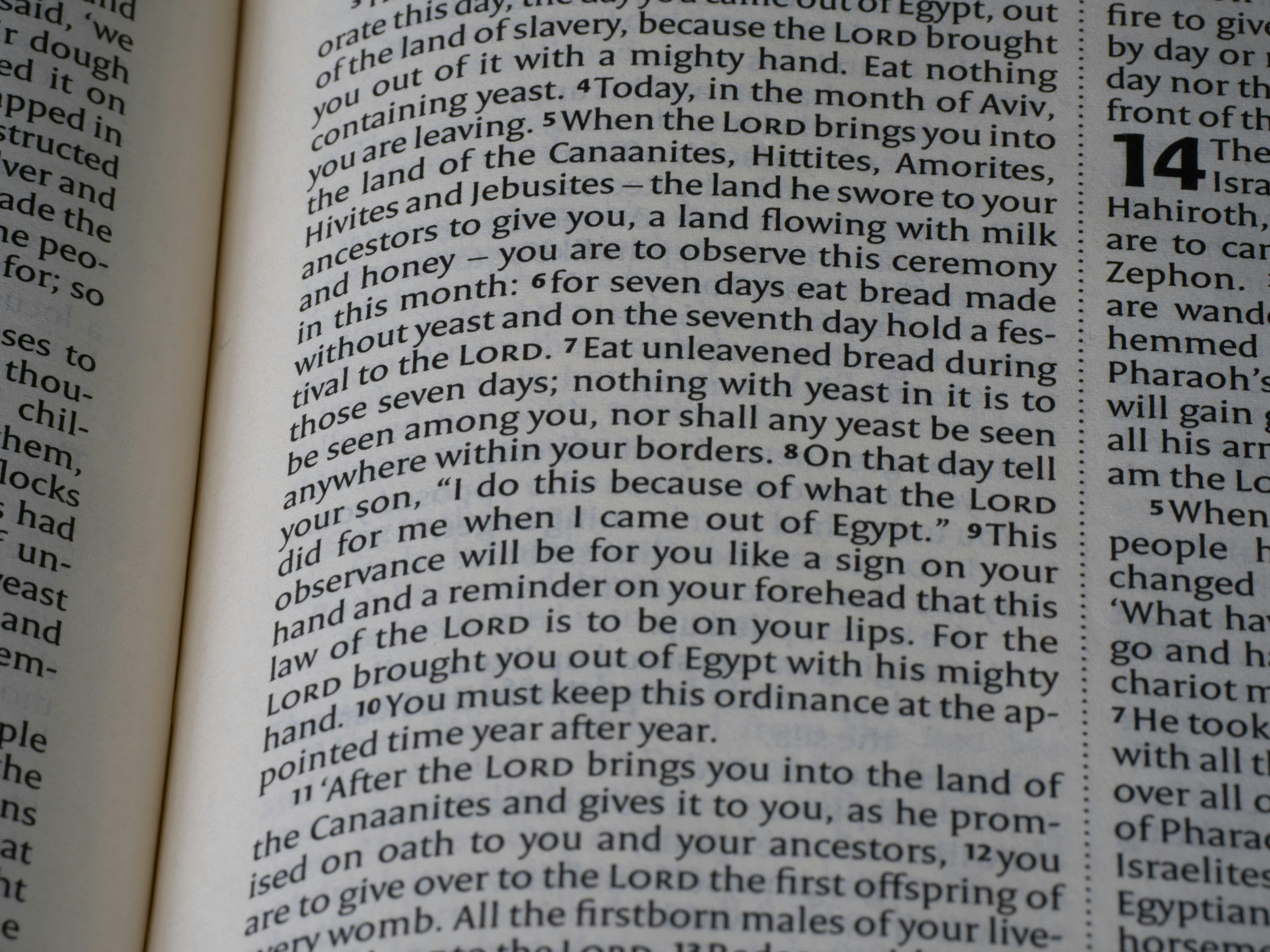 Close-up of open book pages with text.