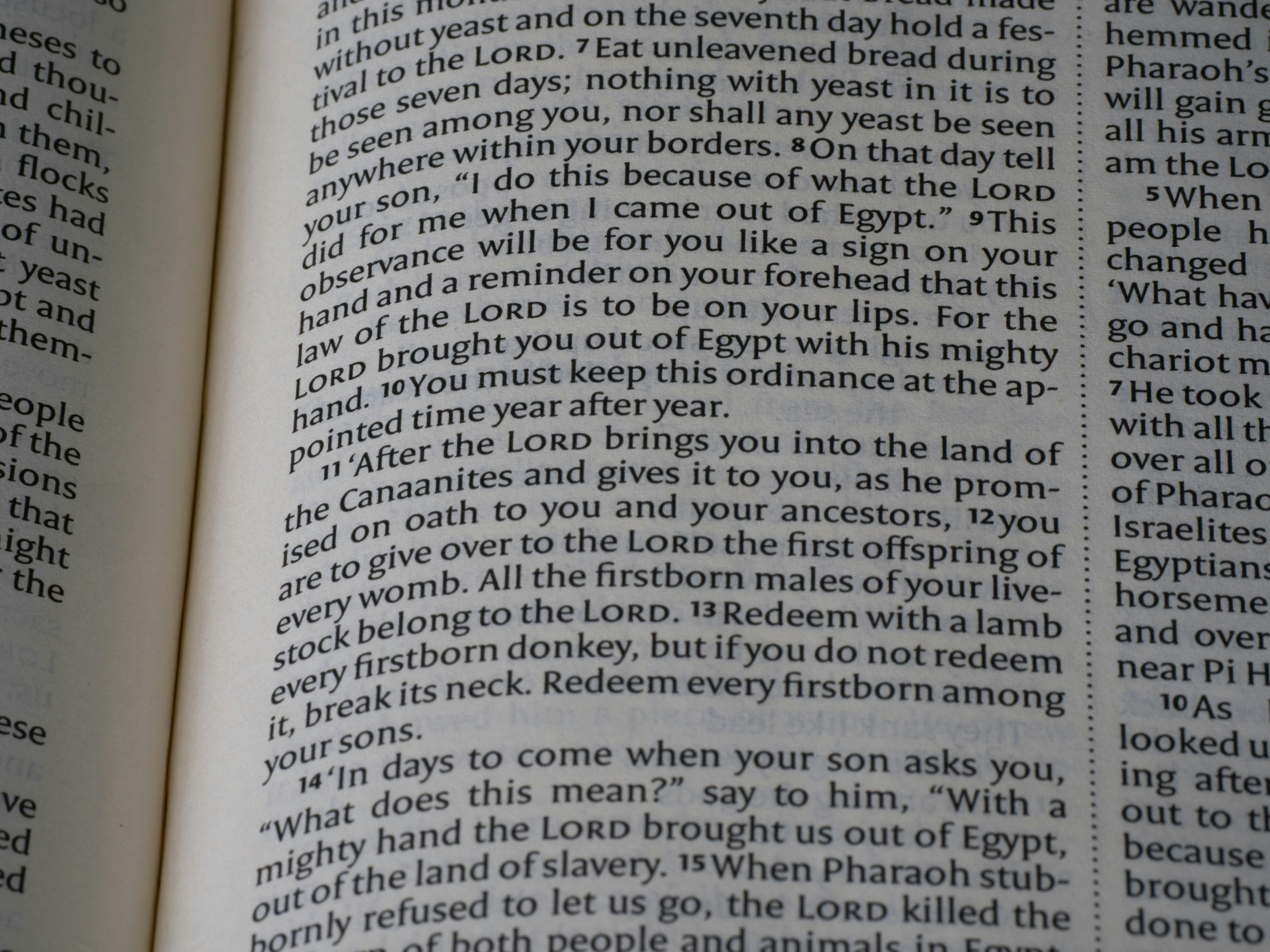 Close-up of an open bible with text visible.