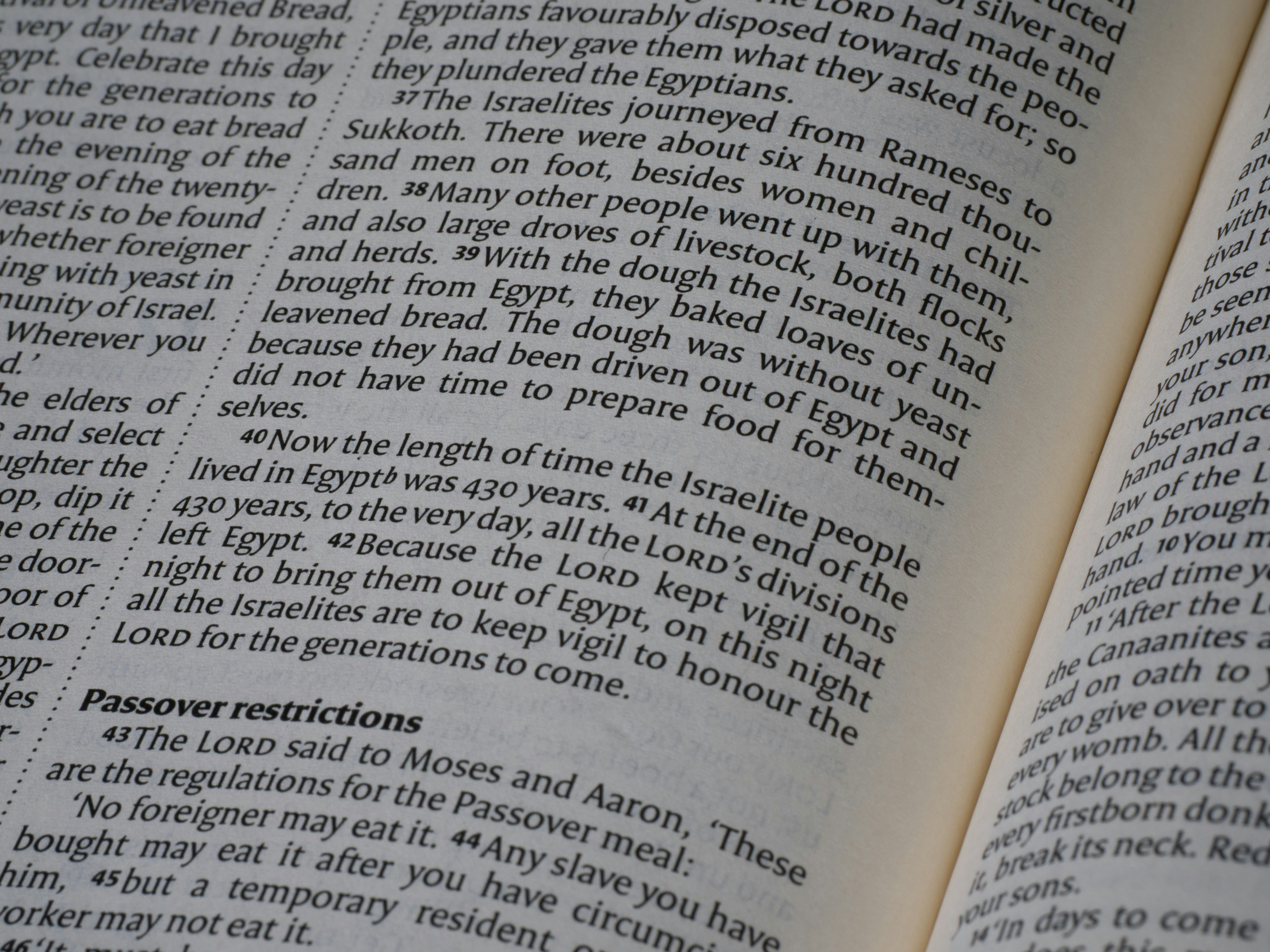 Close-up of an open book with text.