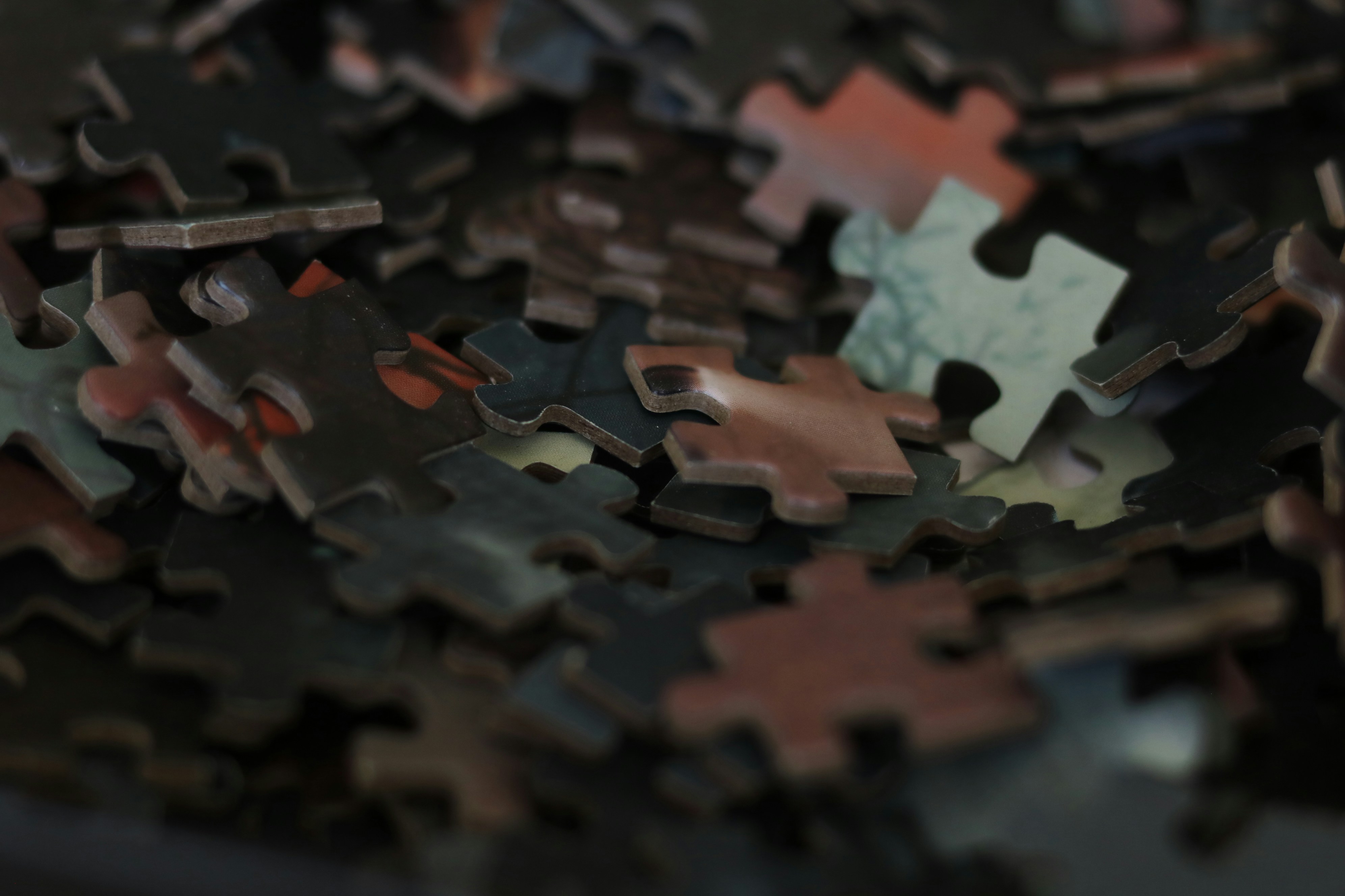 Photo by allysphotos