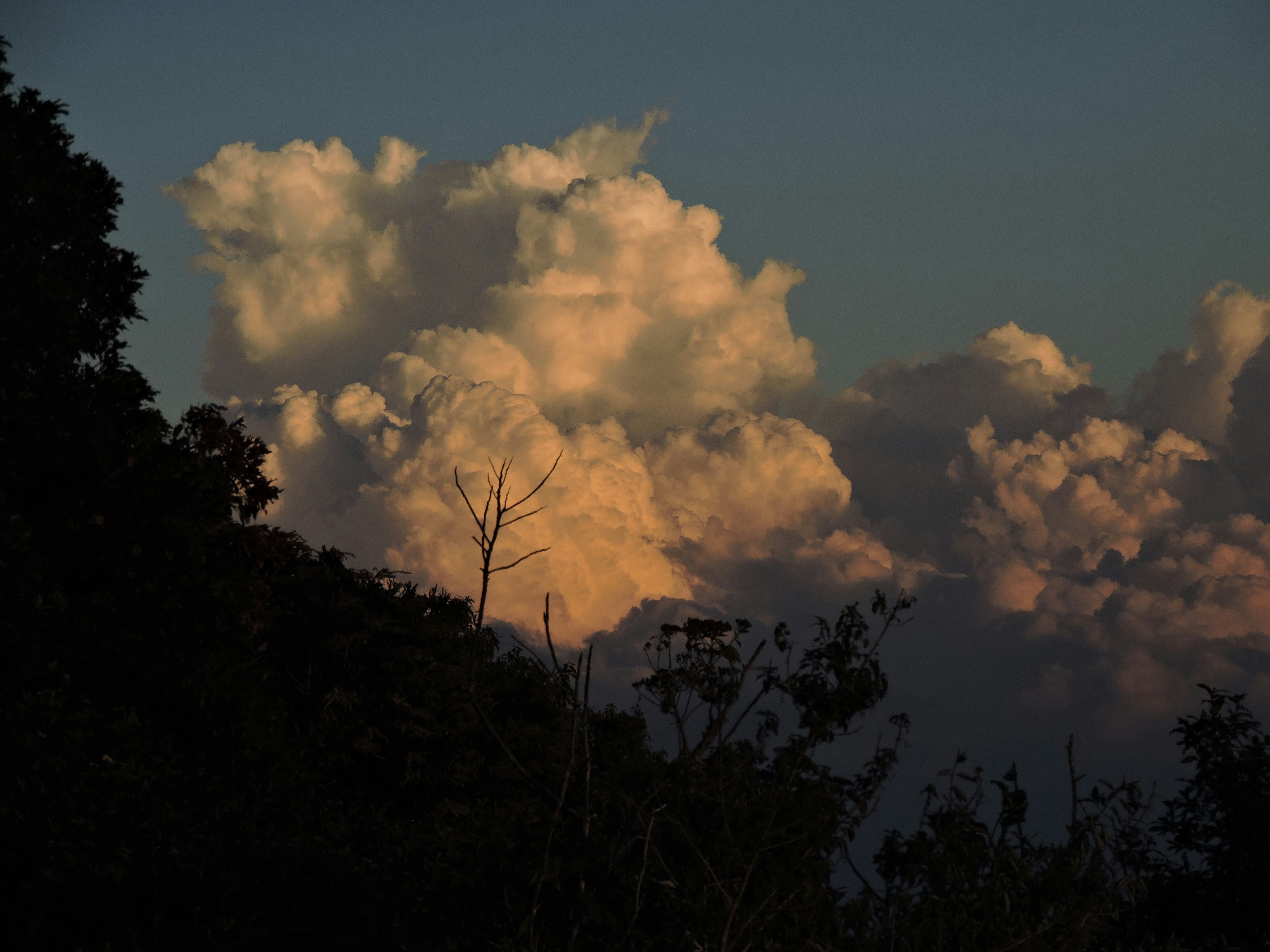 Photo by fastermaster0