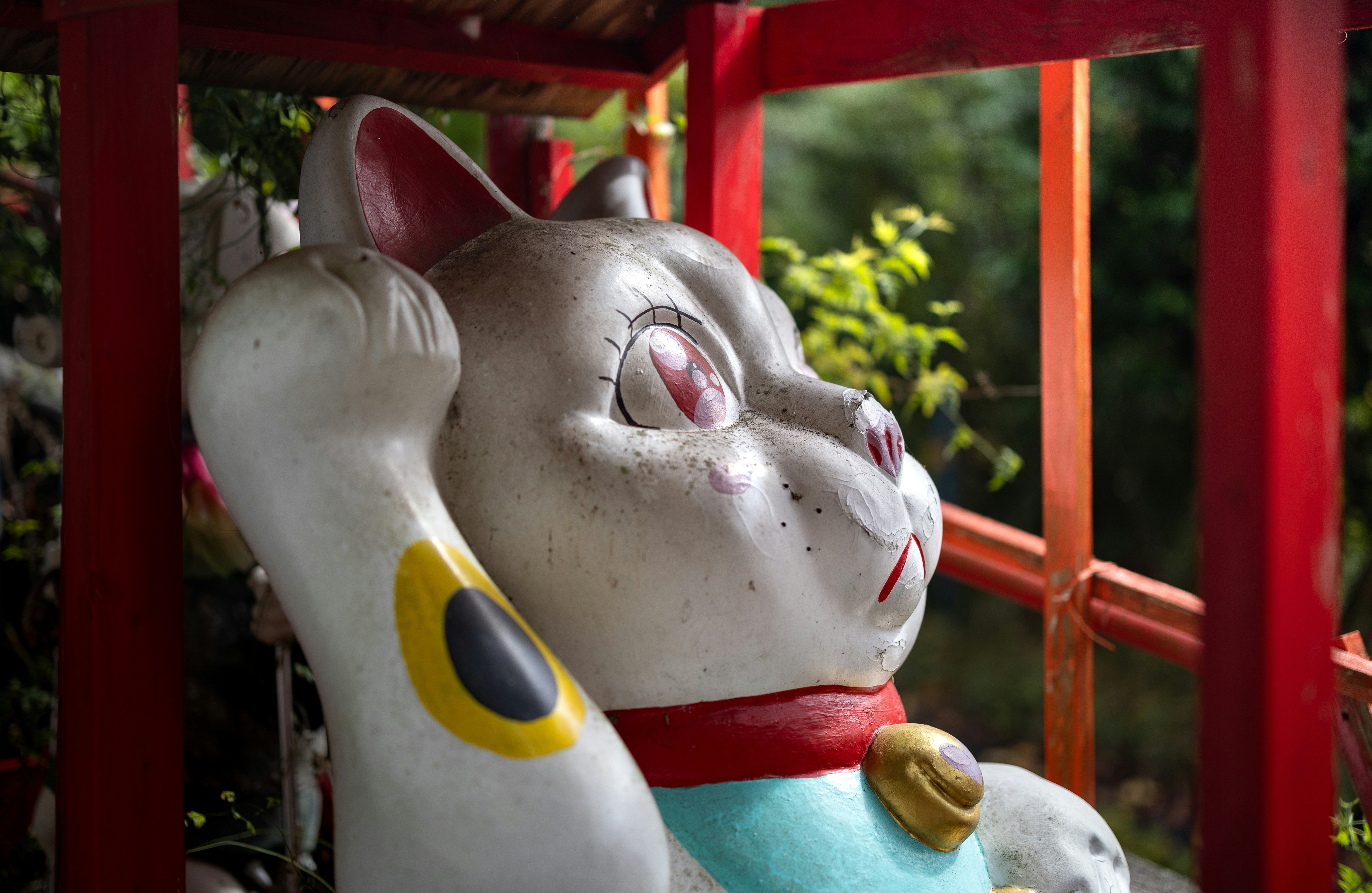 Photo by marekpiwnicki