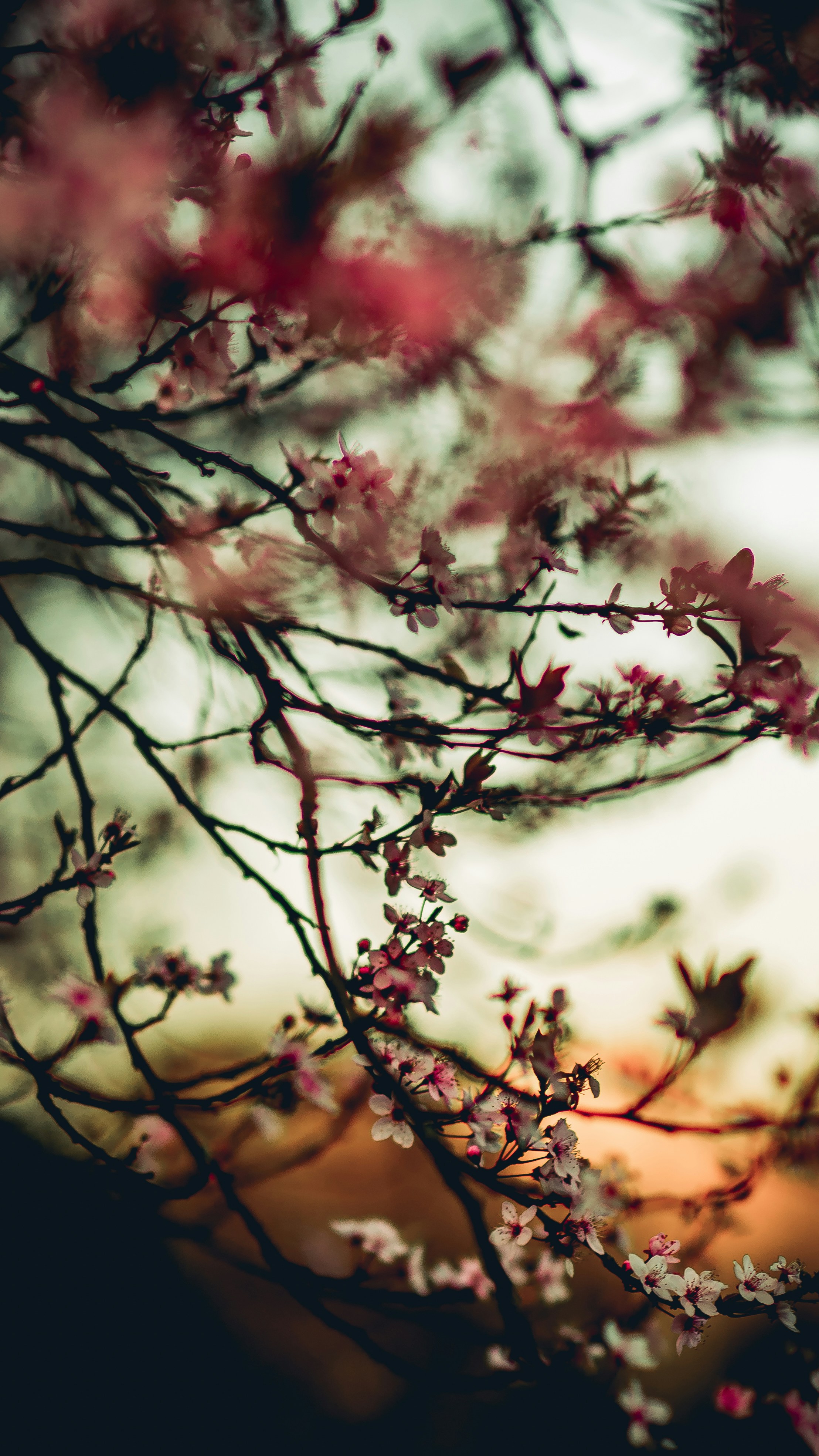 Photo by bl1ckfangfotografie