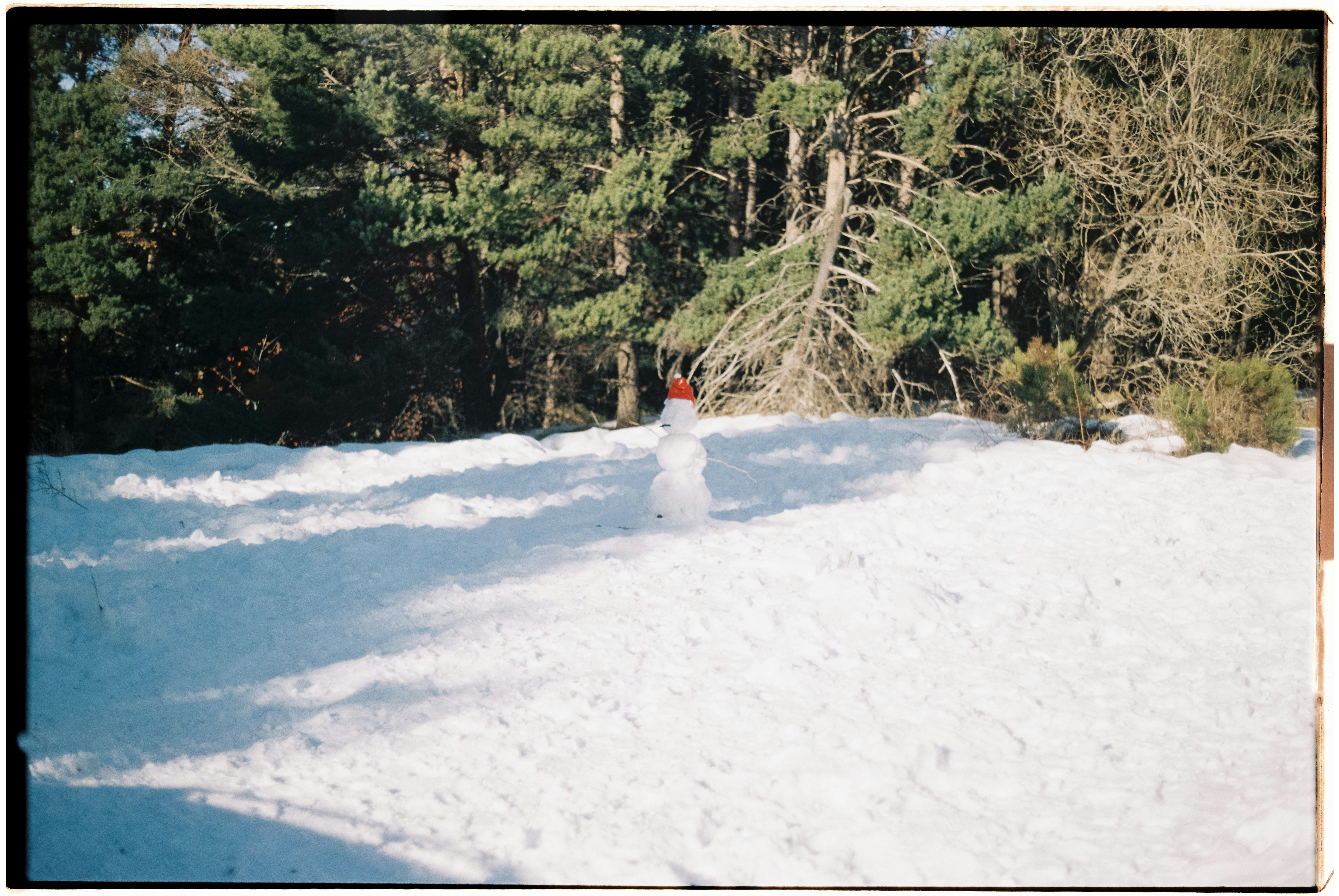 Un muñeco de nieve está en un claro nevado en un bosque.