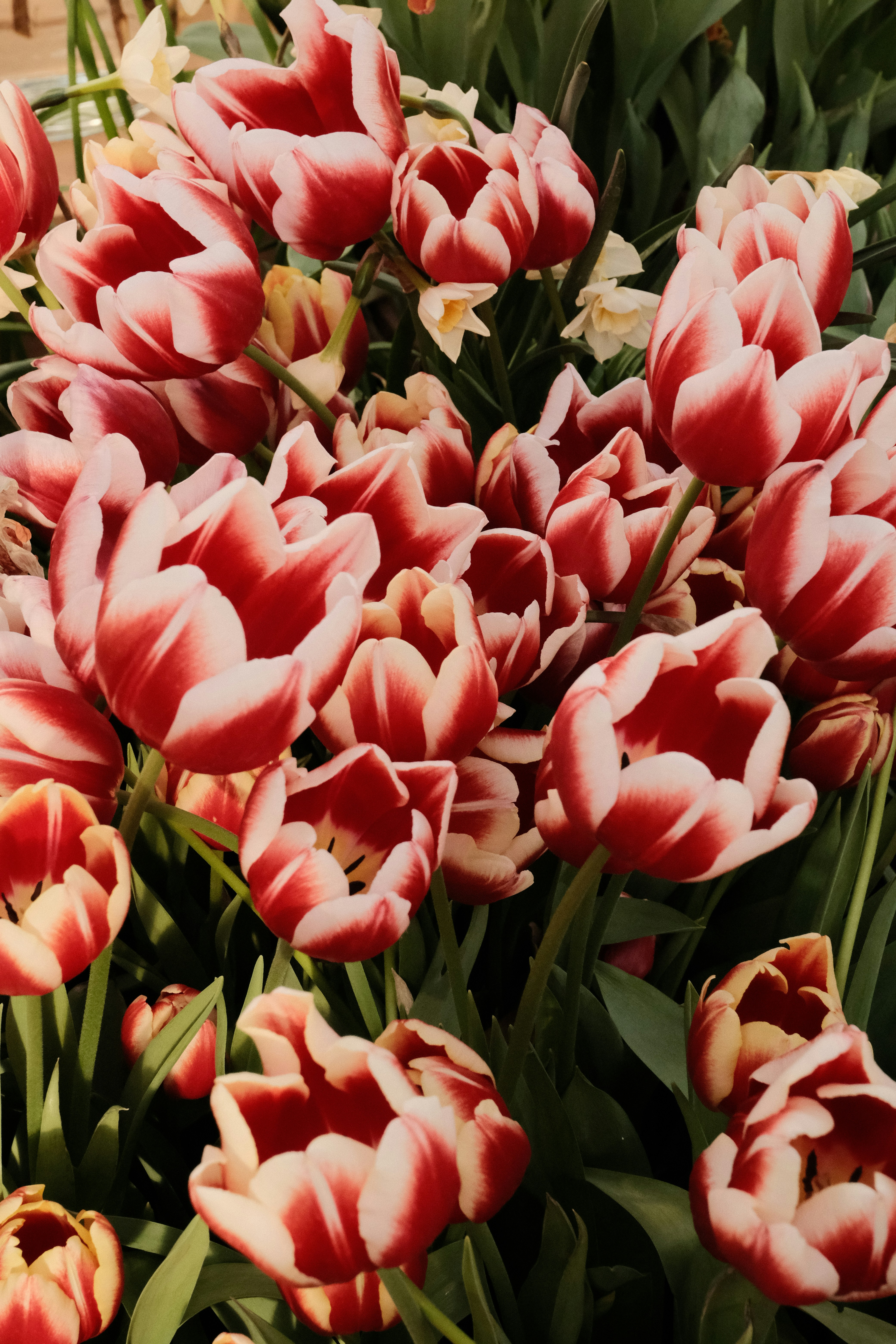 Photo by tatianarudneva