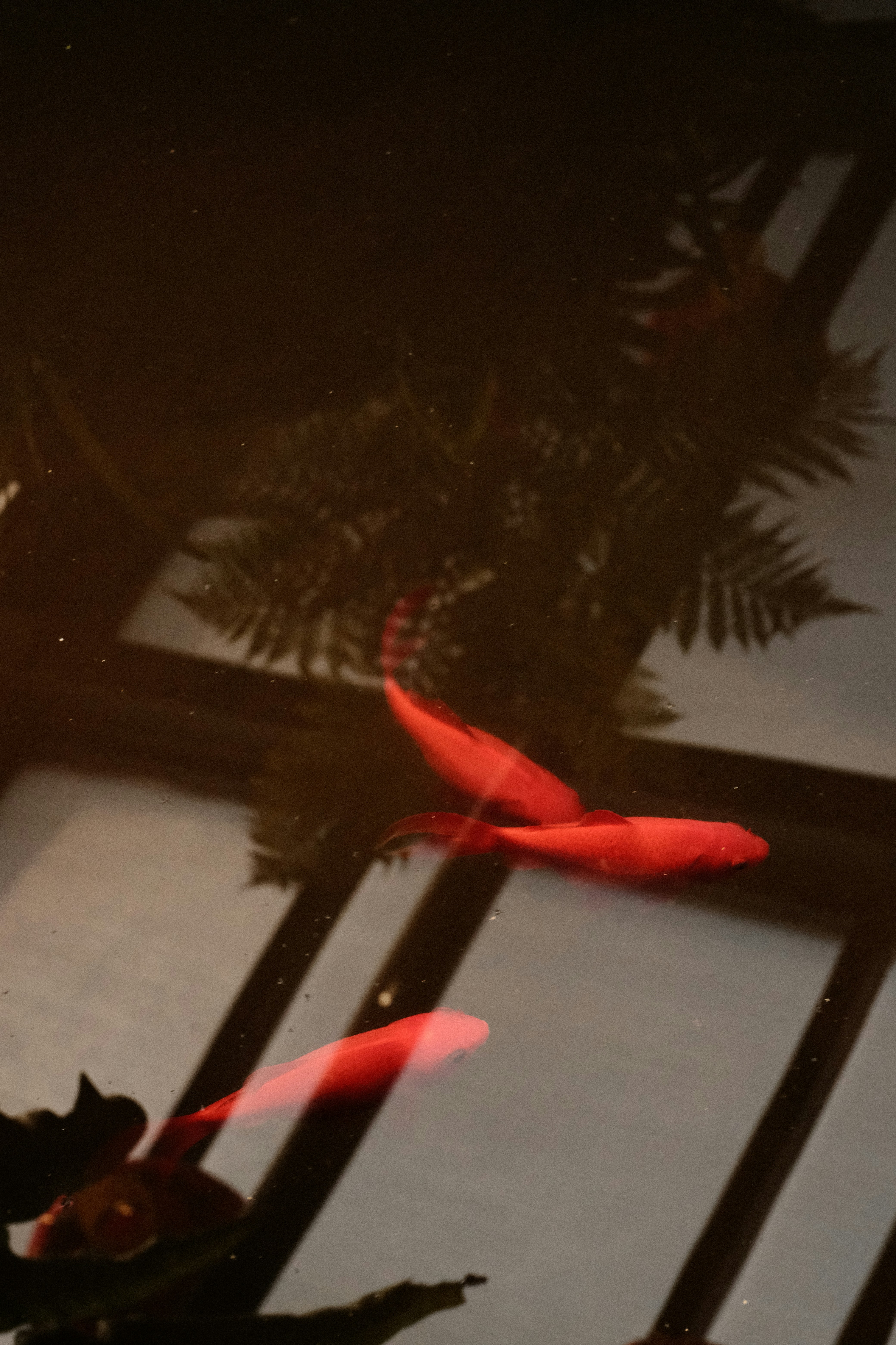 Photo by tatianarudneva