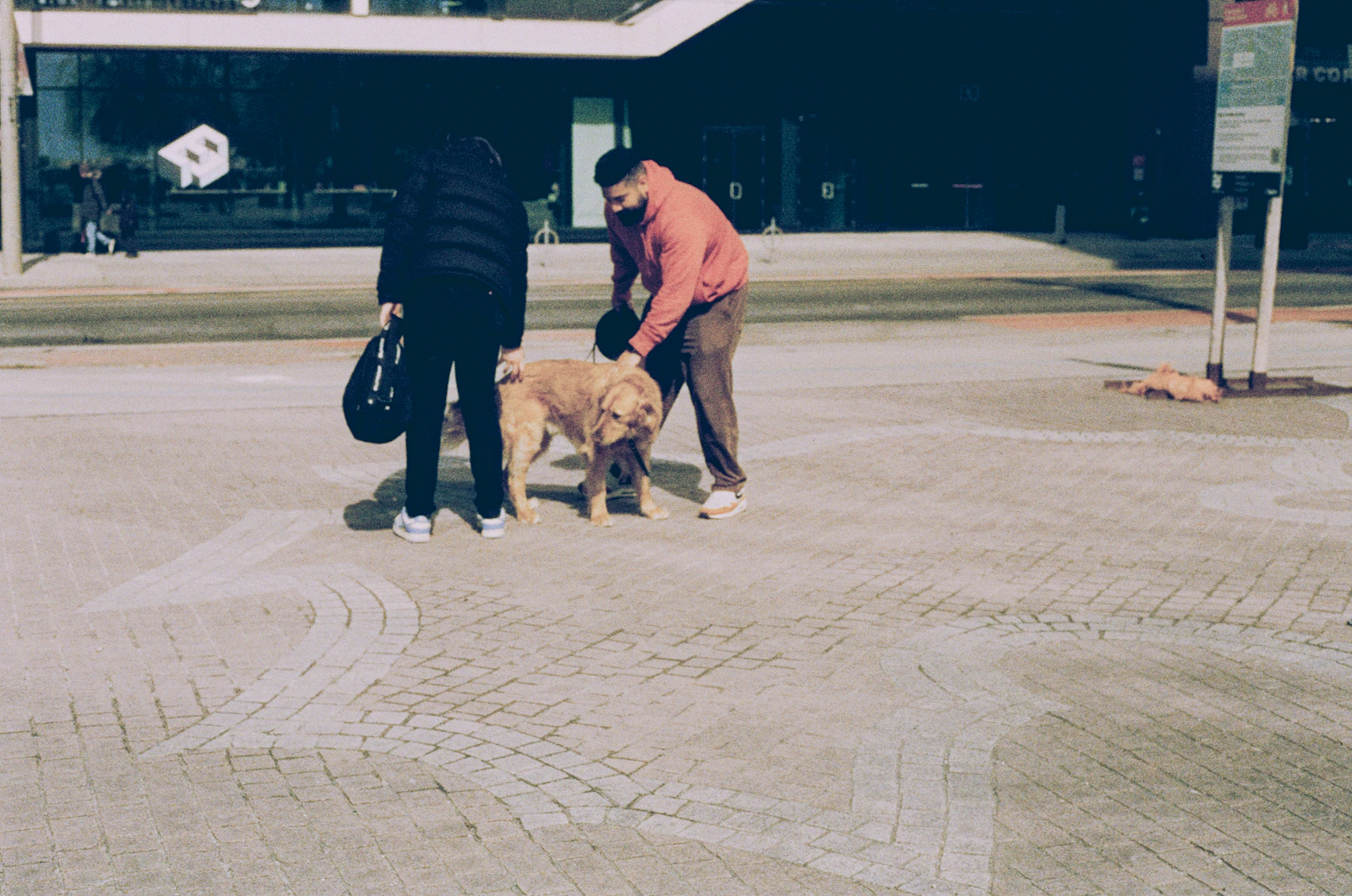 Un hombre acaricia a un golden retriever junto a una mujer en la calle