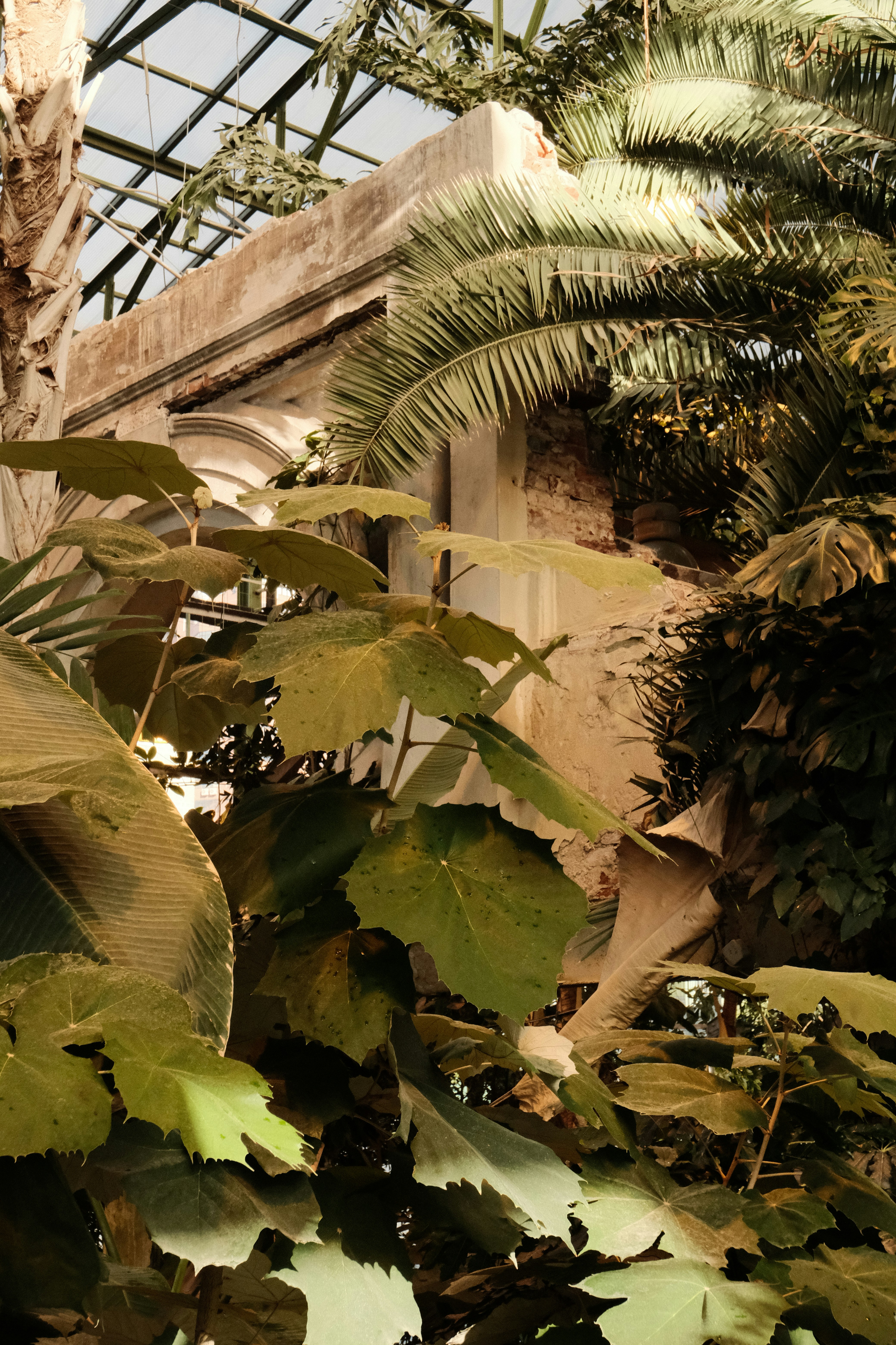 Photo by tatianarudneva