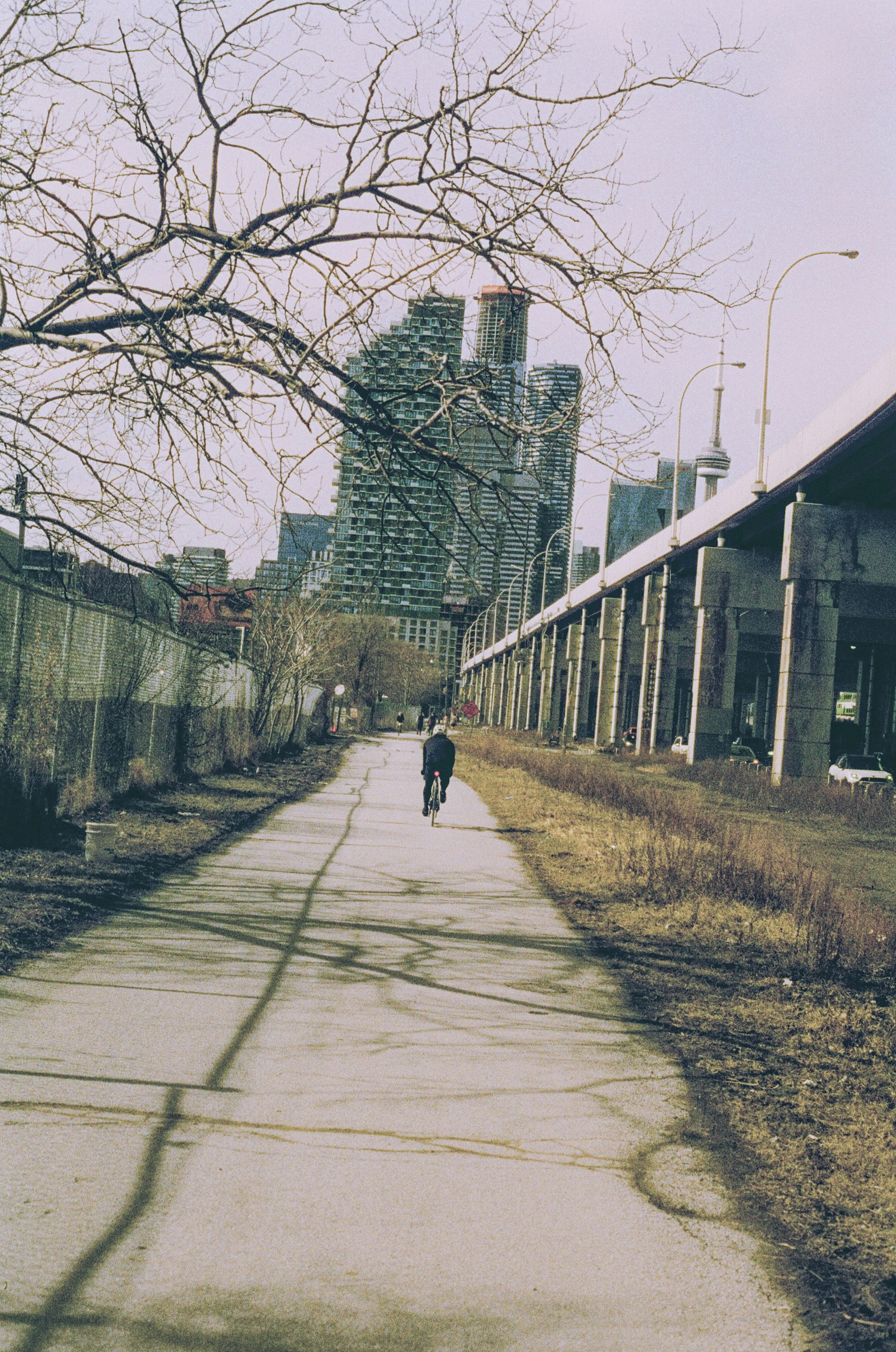 Person rides bicycle on paved path near city buildings.