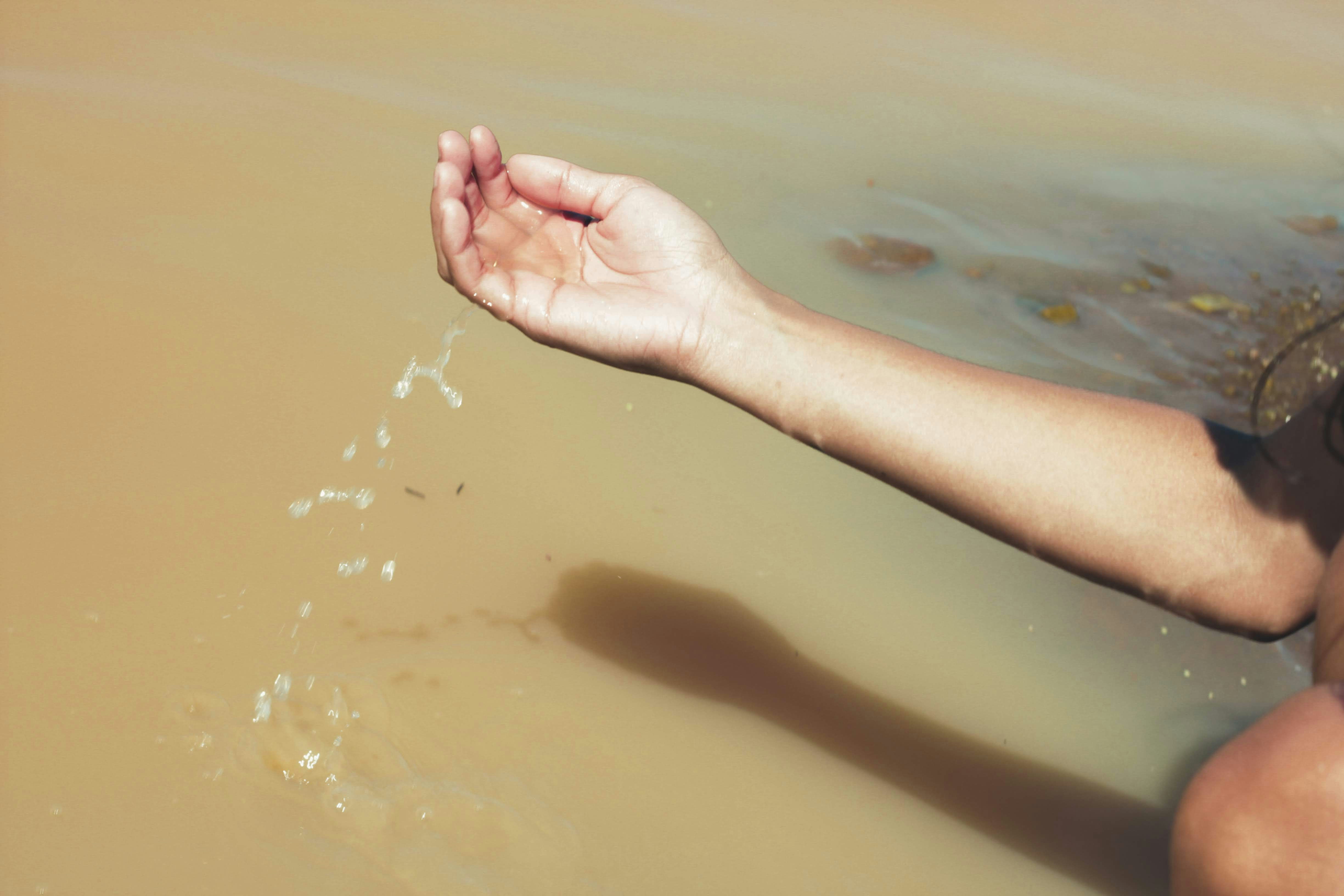 Photo by janilson_oficial