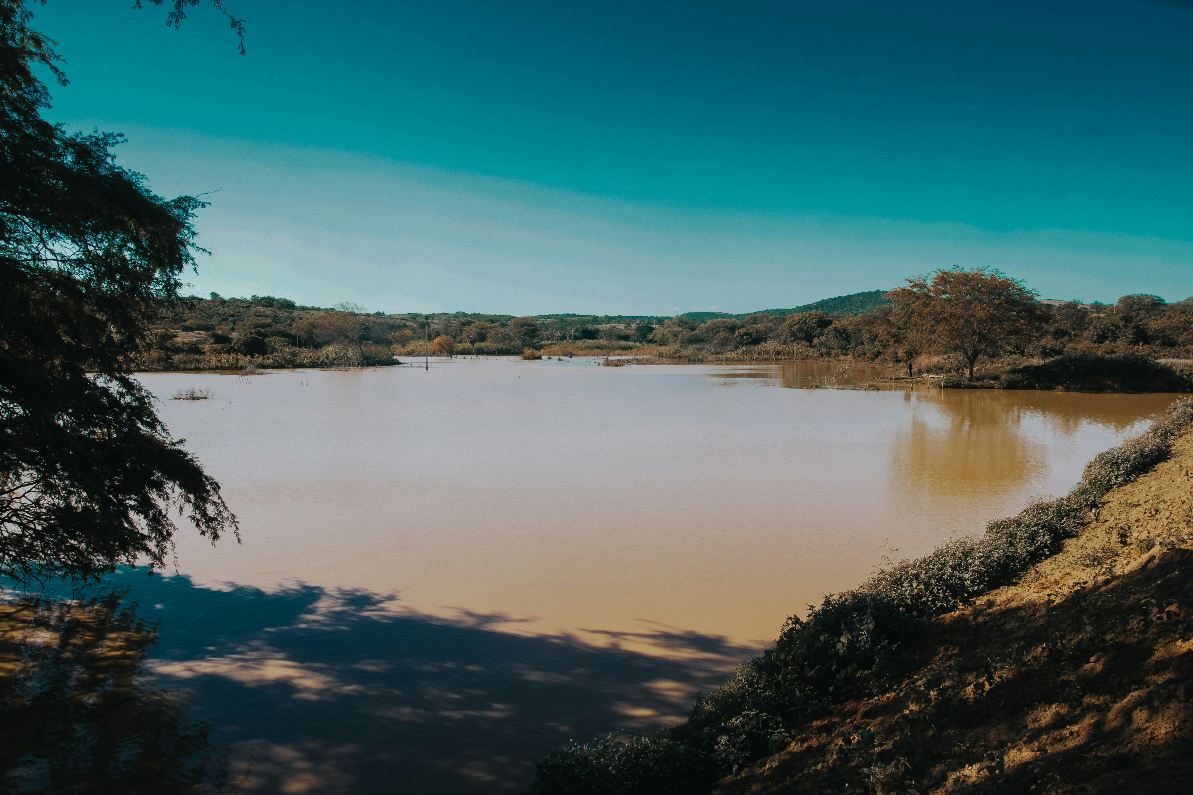 Photo by janilson_oficial