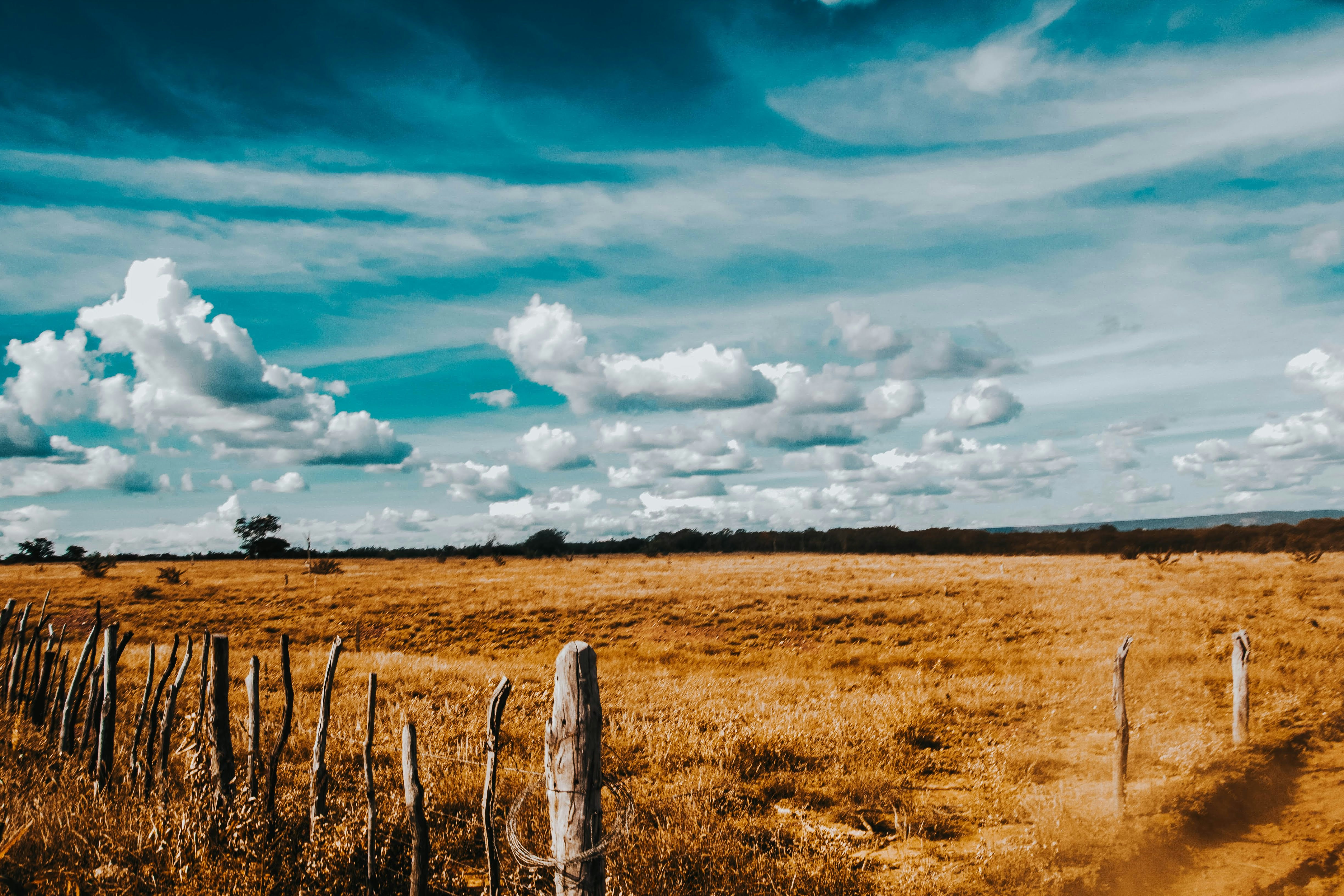 Photo by janilson_oficial