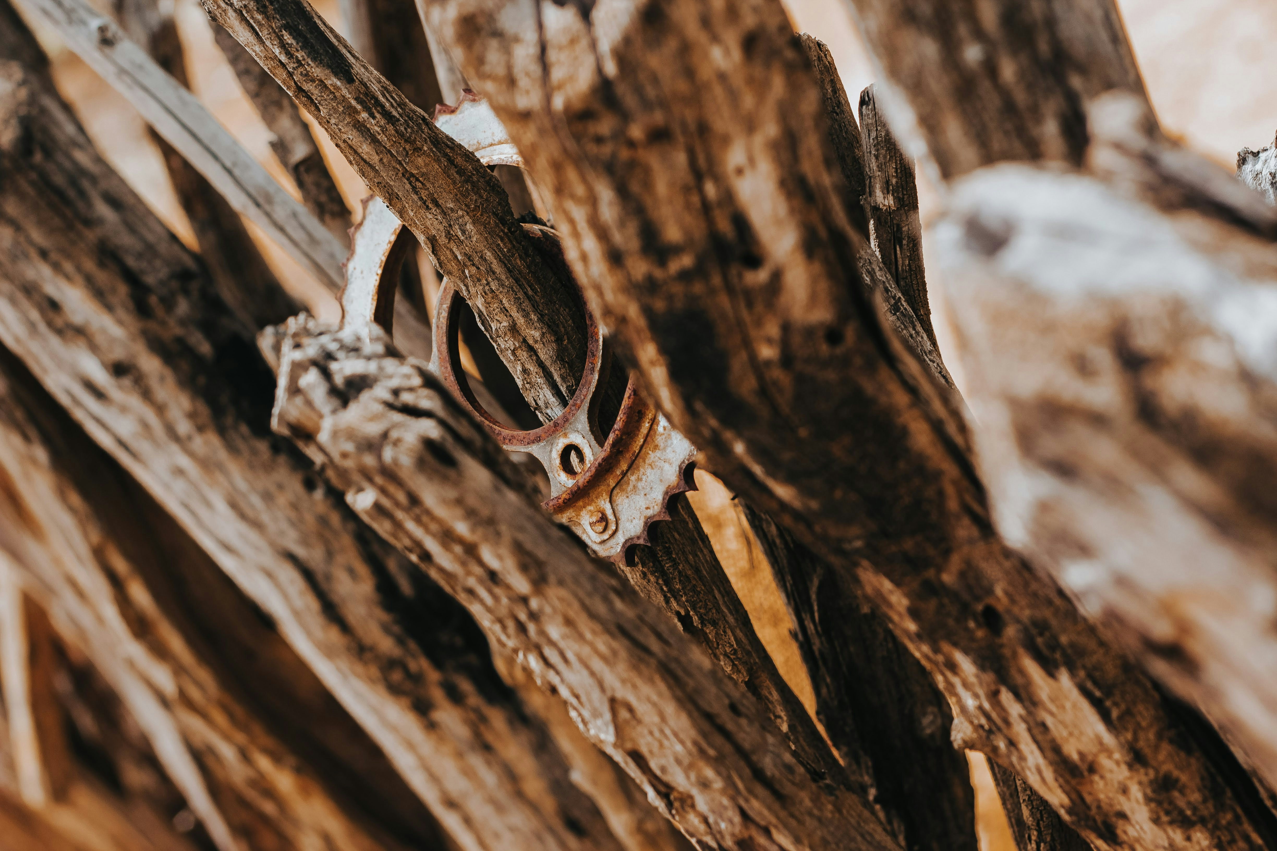 Photo by janilson_oficial