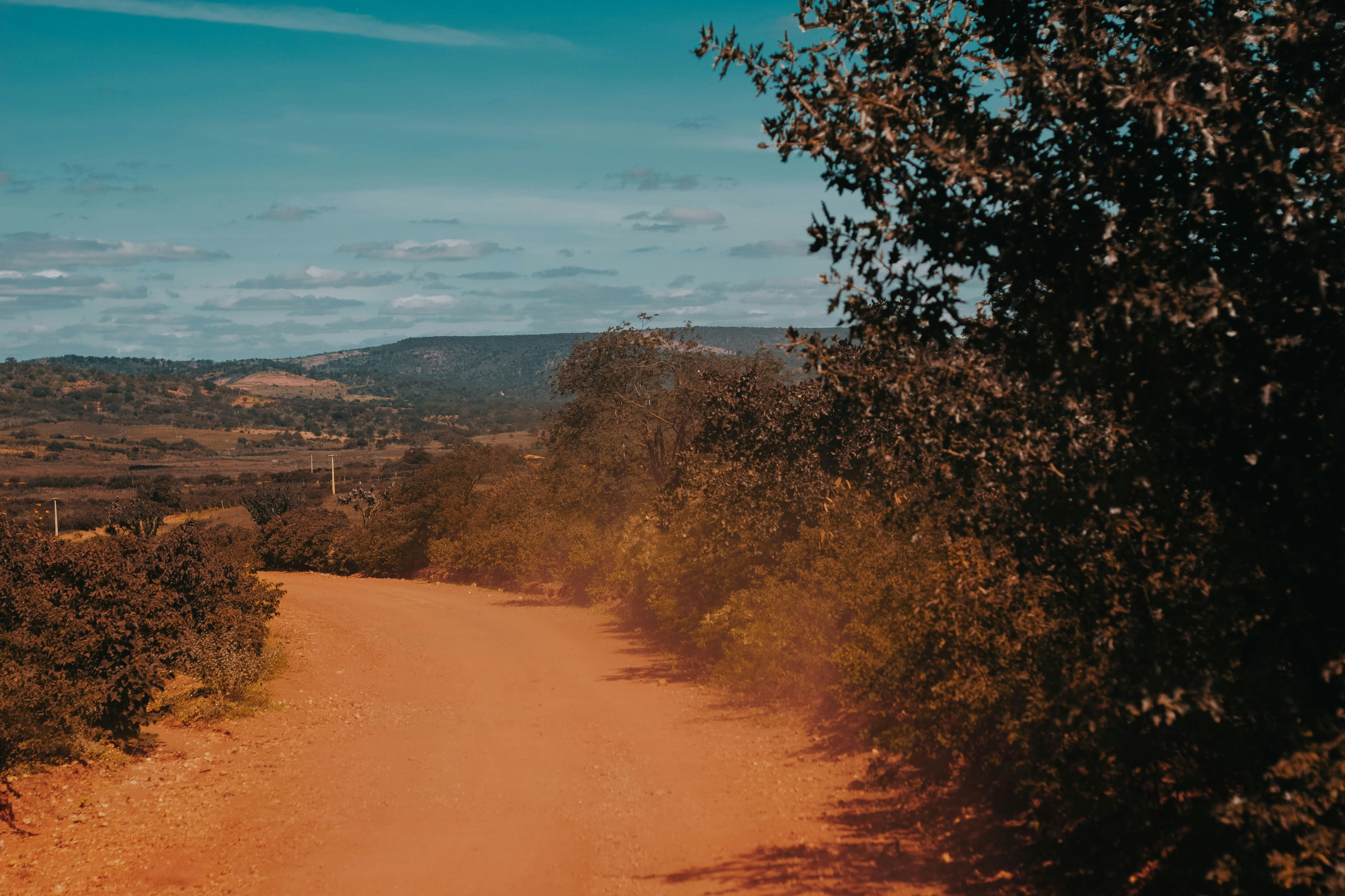 Photo by janilson_oficial