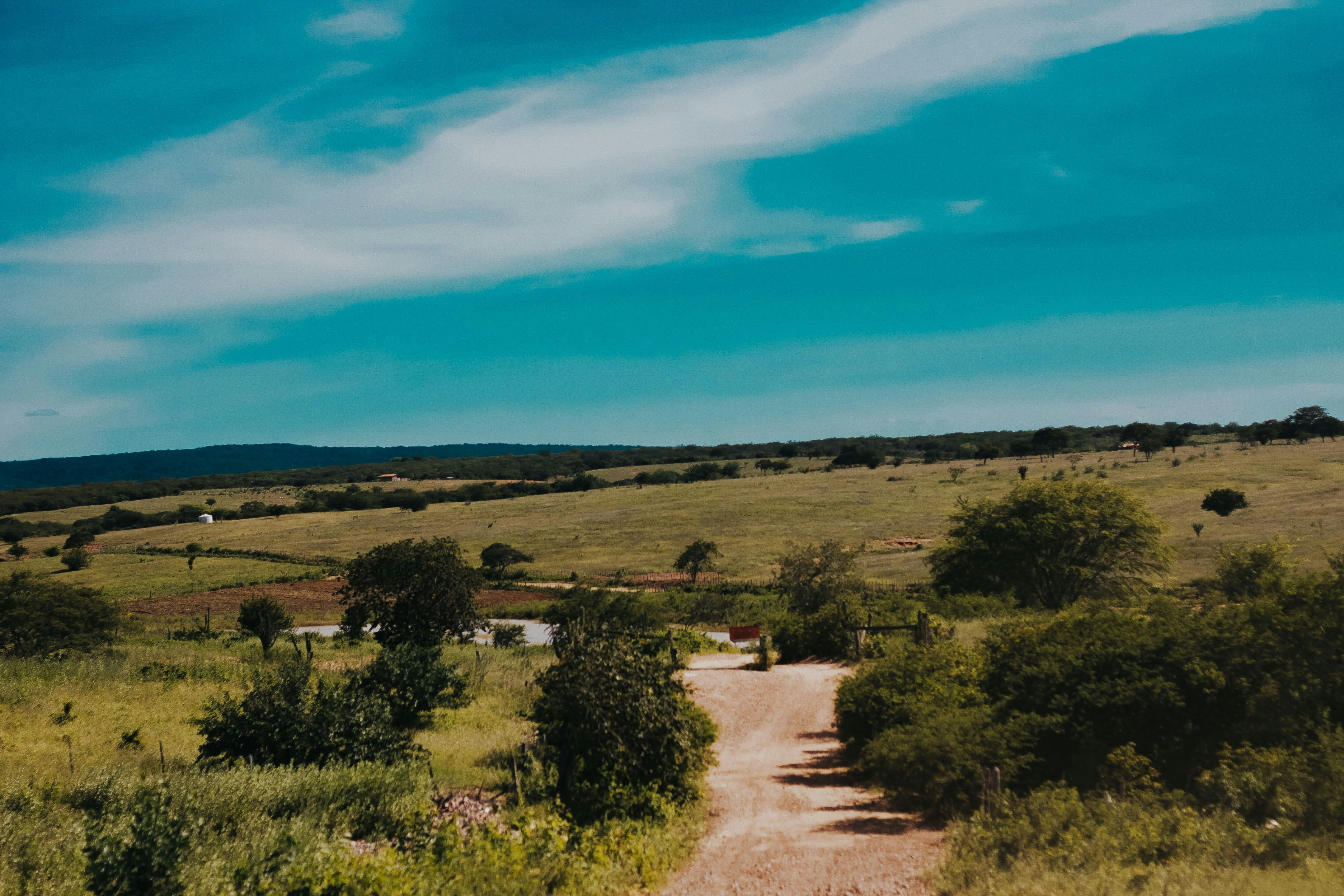 Photo by janilson_oficial