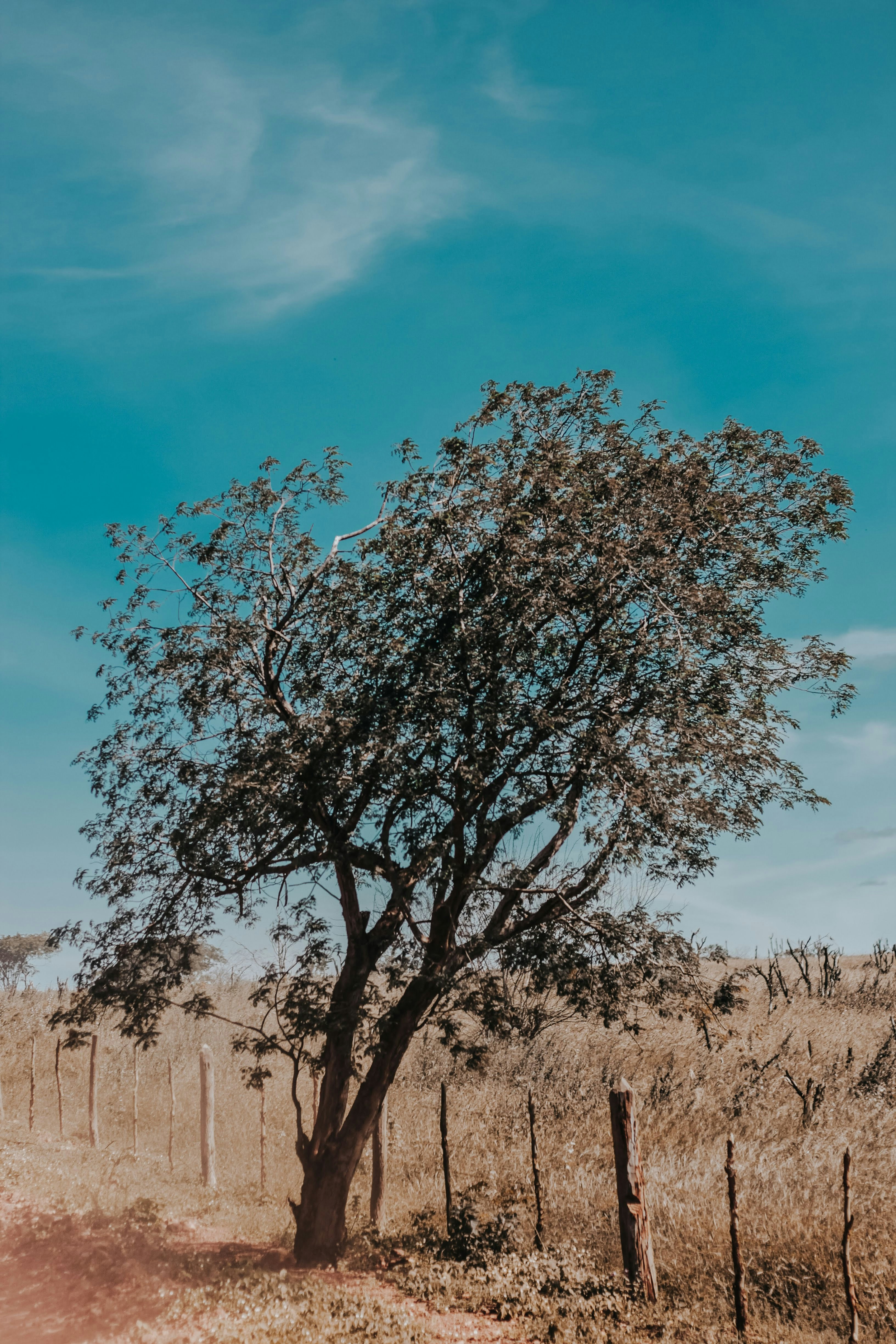 Photo by janilson_oficial