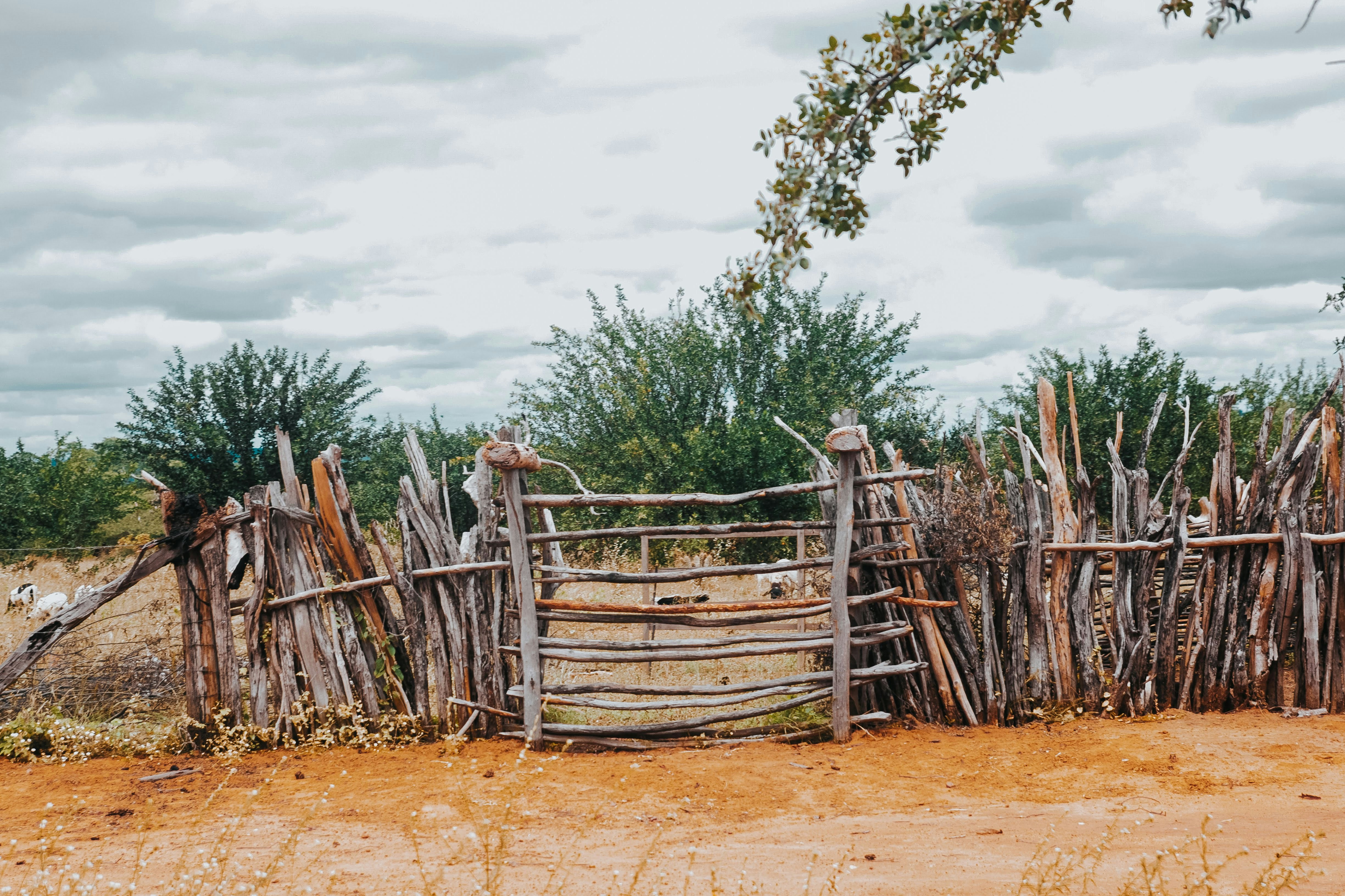 Rustic wooden gate and fence in dry landscape
