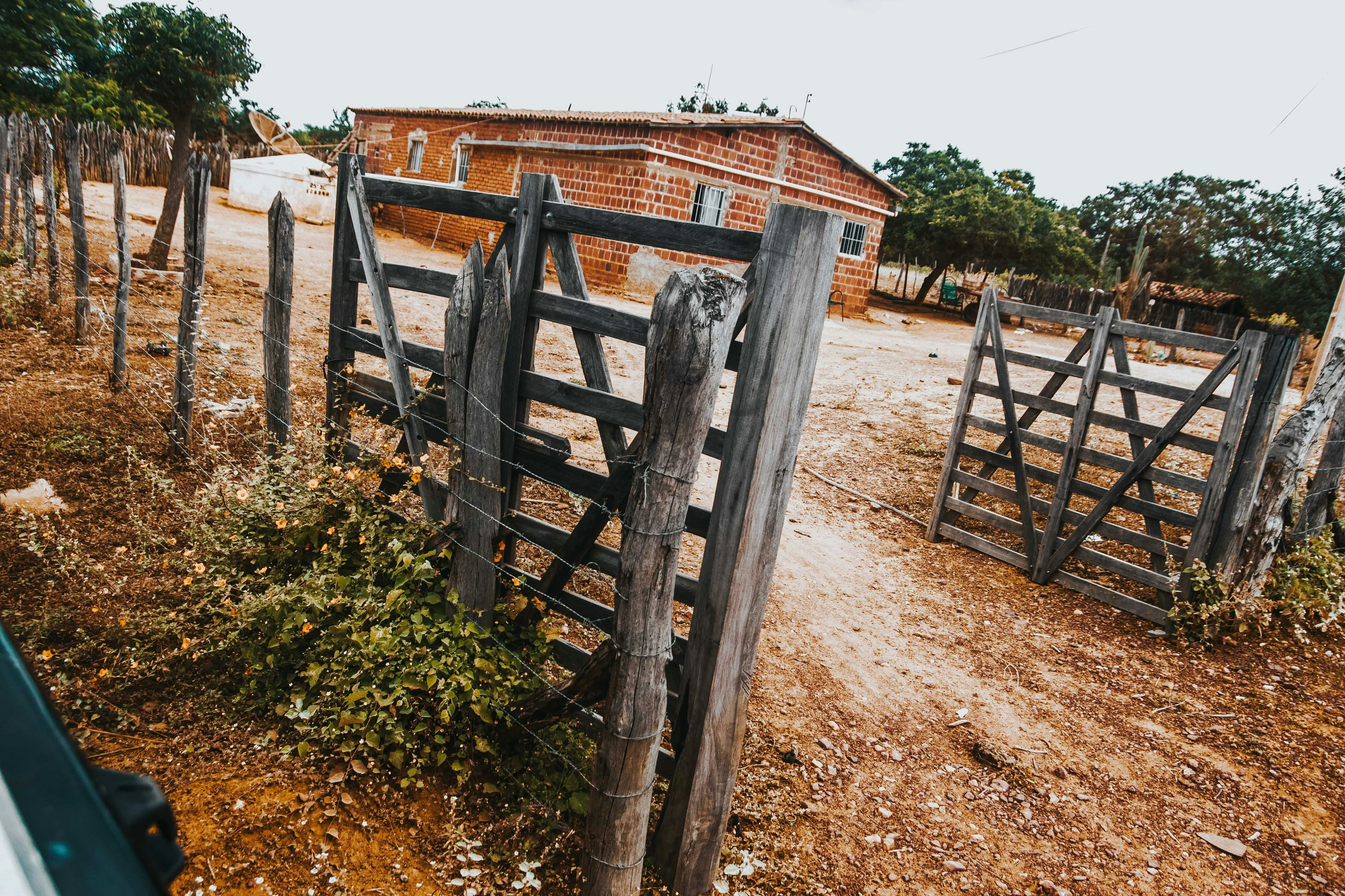 Photo by janilson_oficial