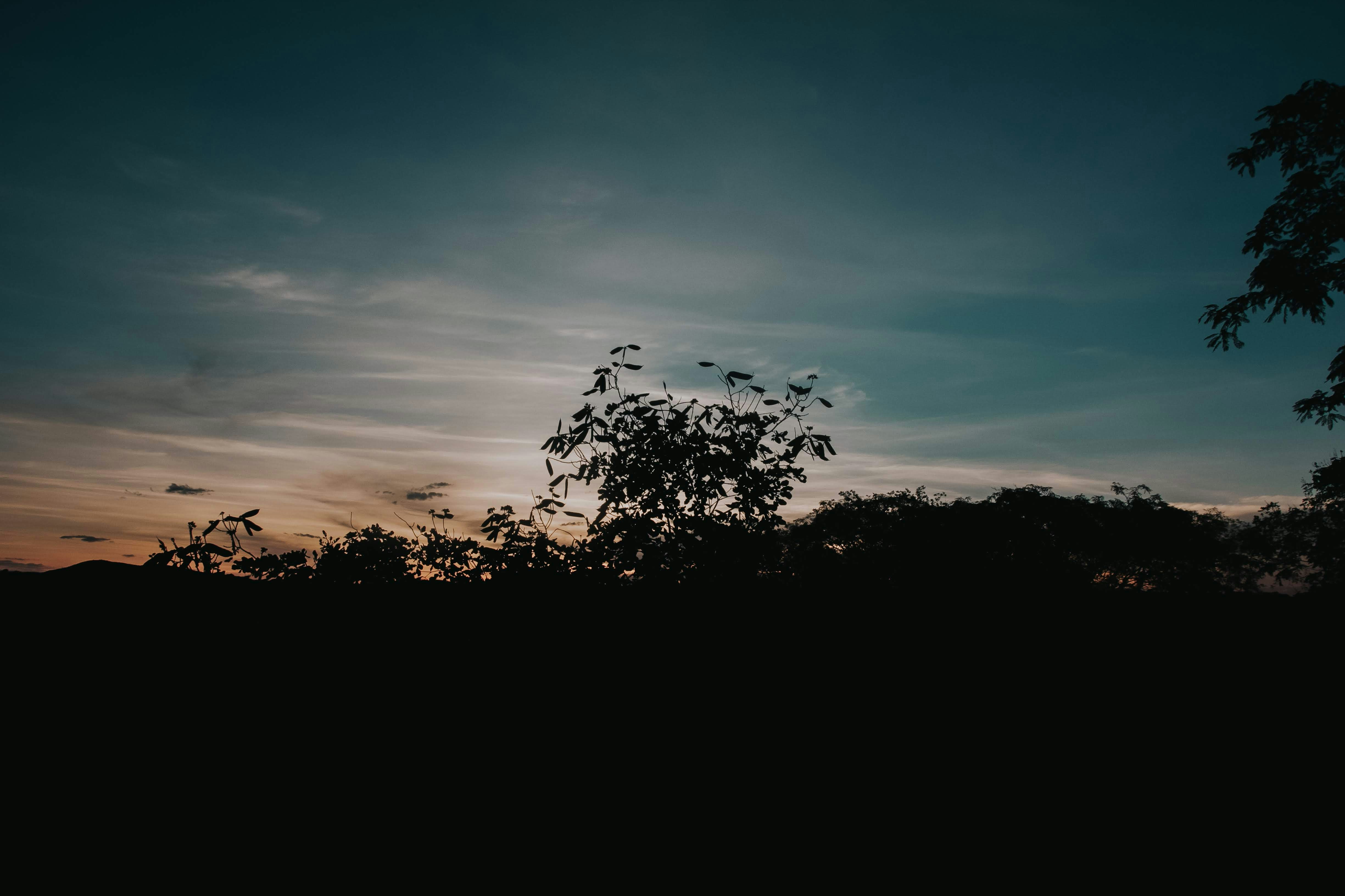 Photo by janilson_oficial