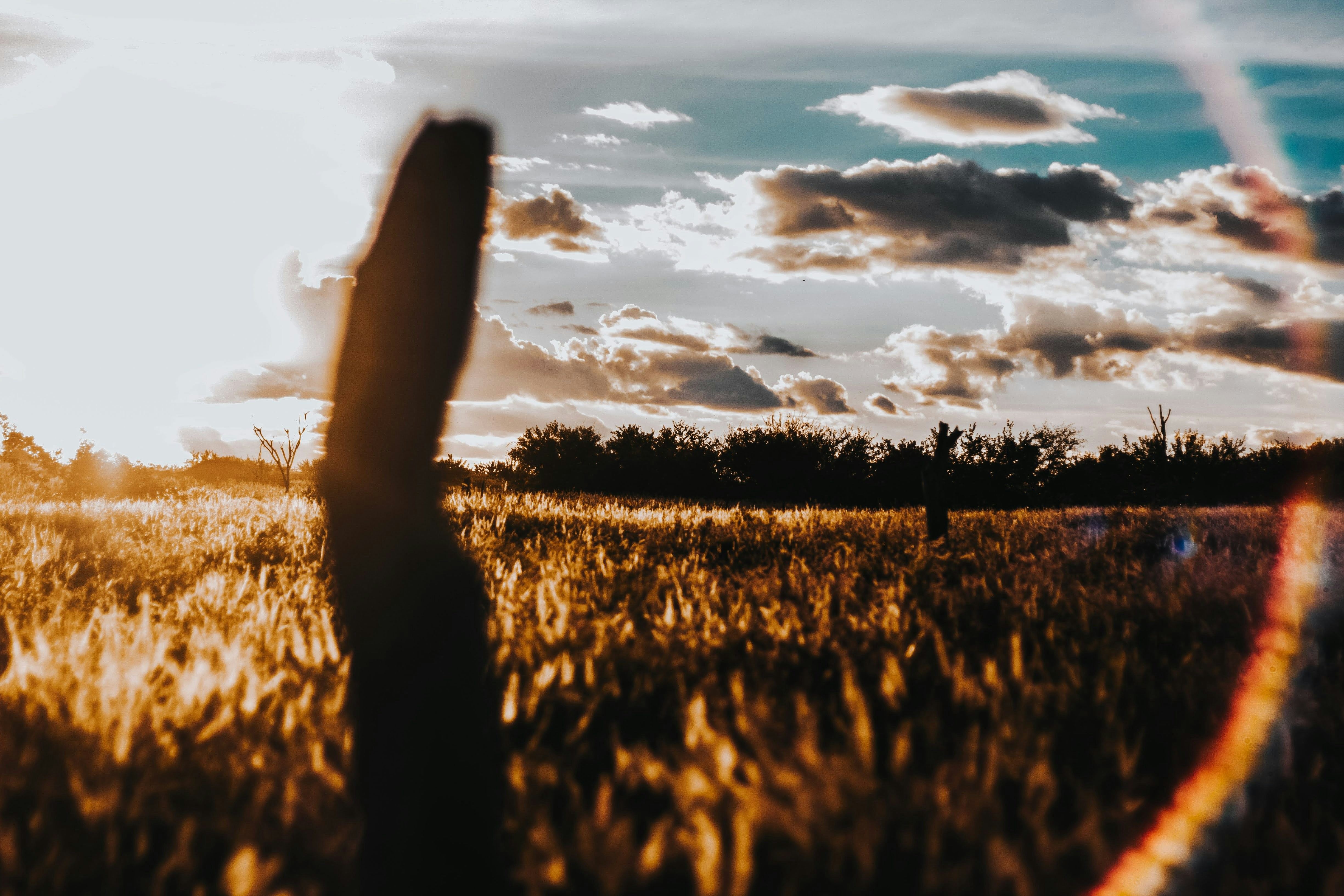 Photo by janilson_oficial