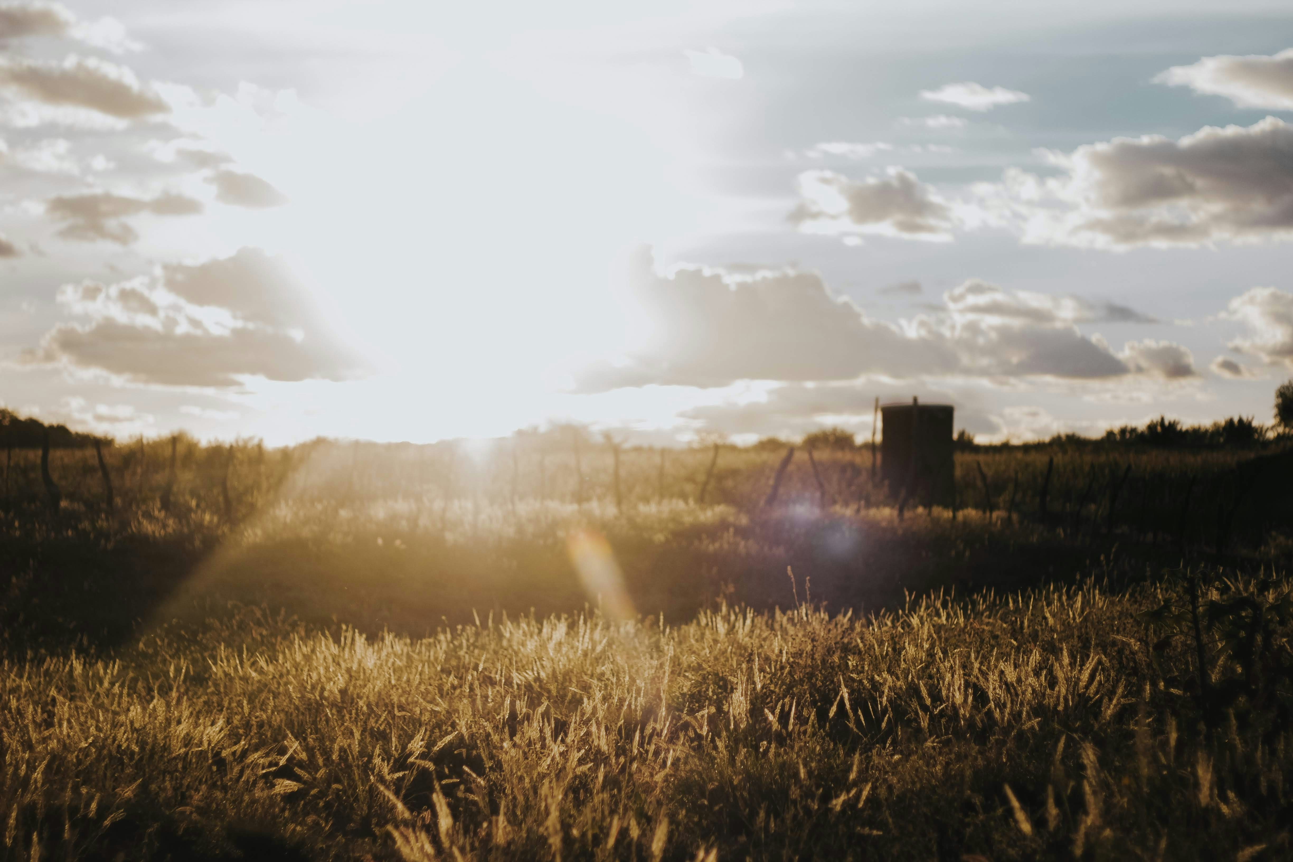 Photo by janilson_oficial