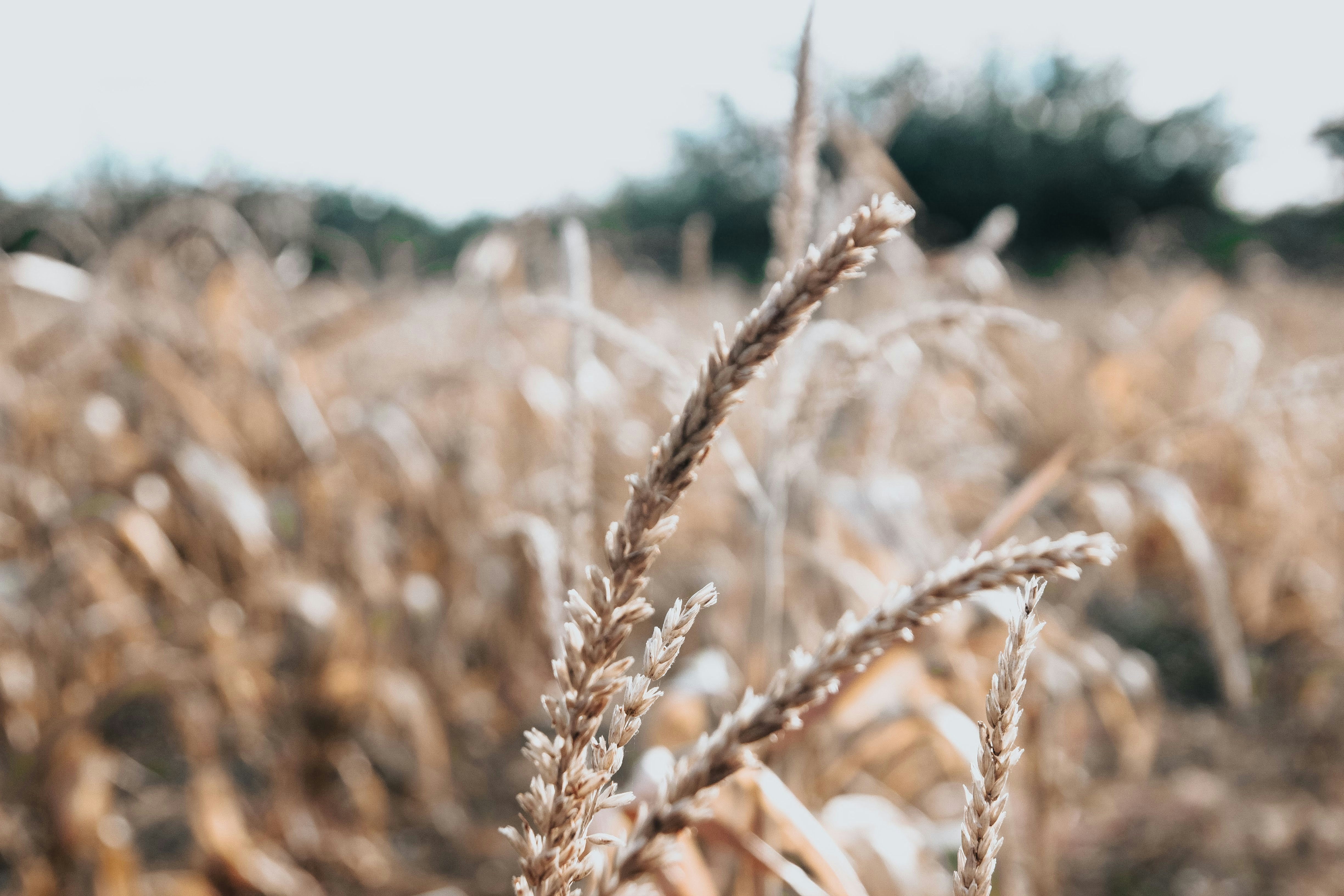 Photo by janilson_oficial