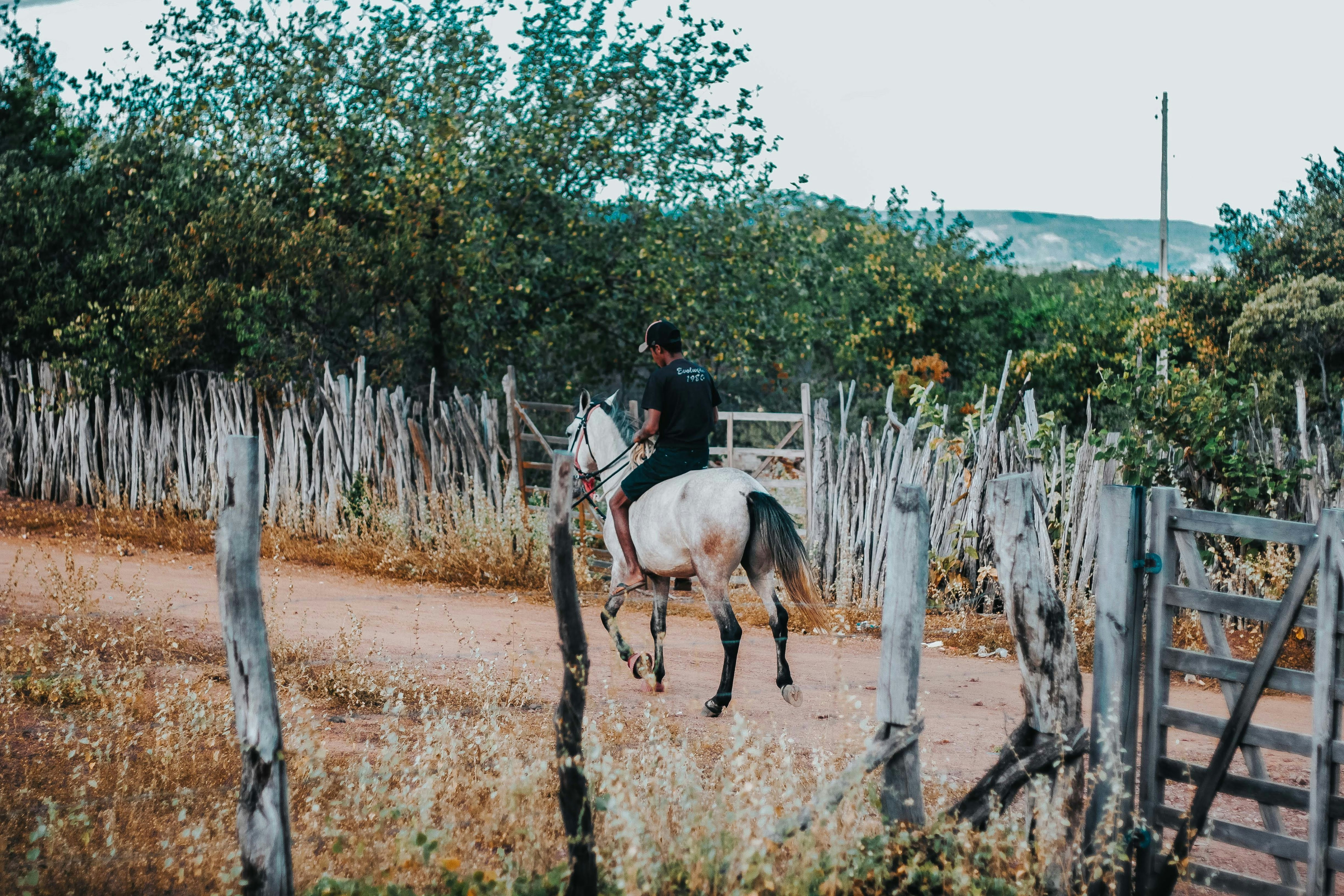 Person riding a horse down a dirt road.