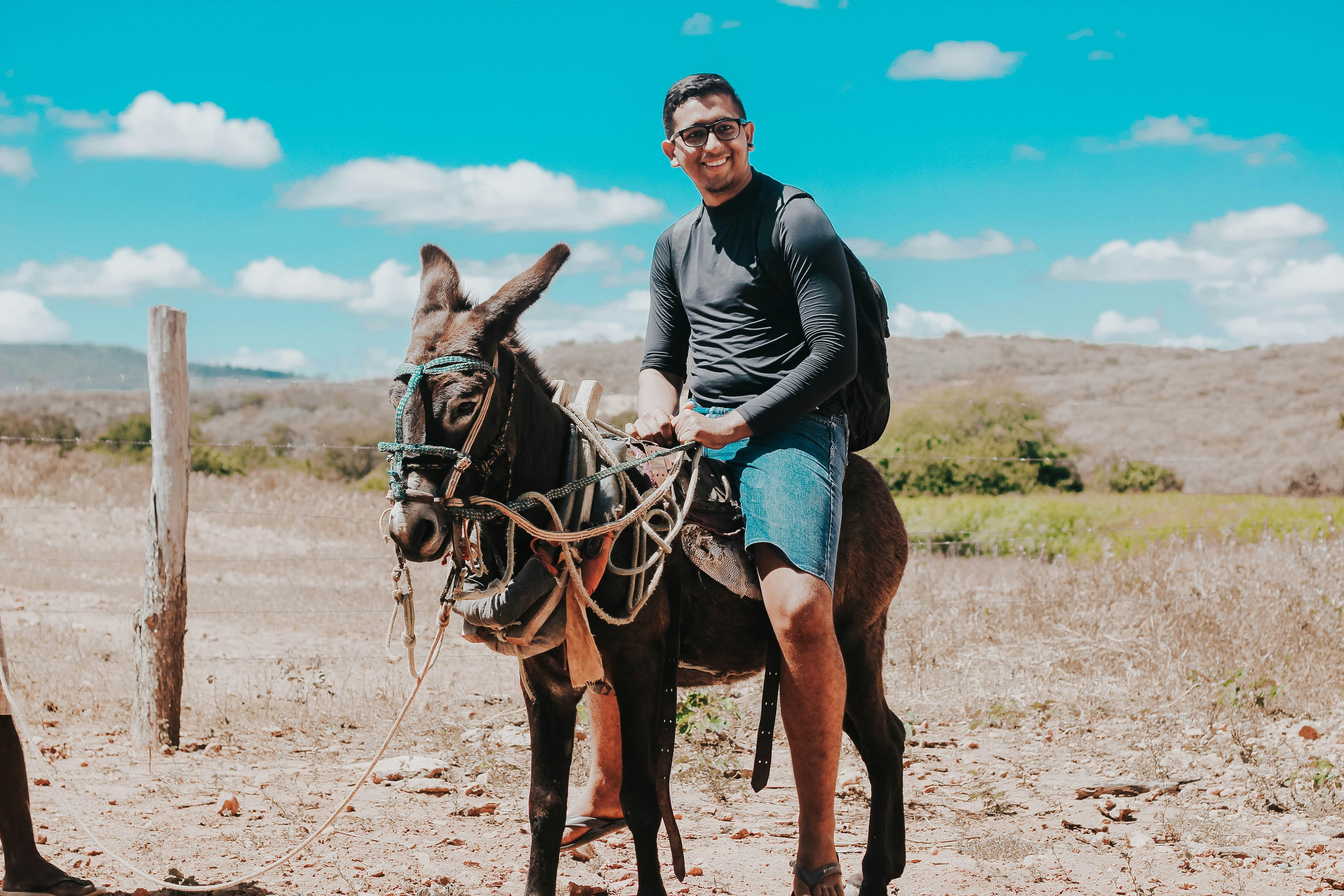 man riding a donkey in a rural place